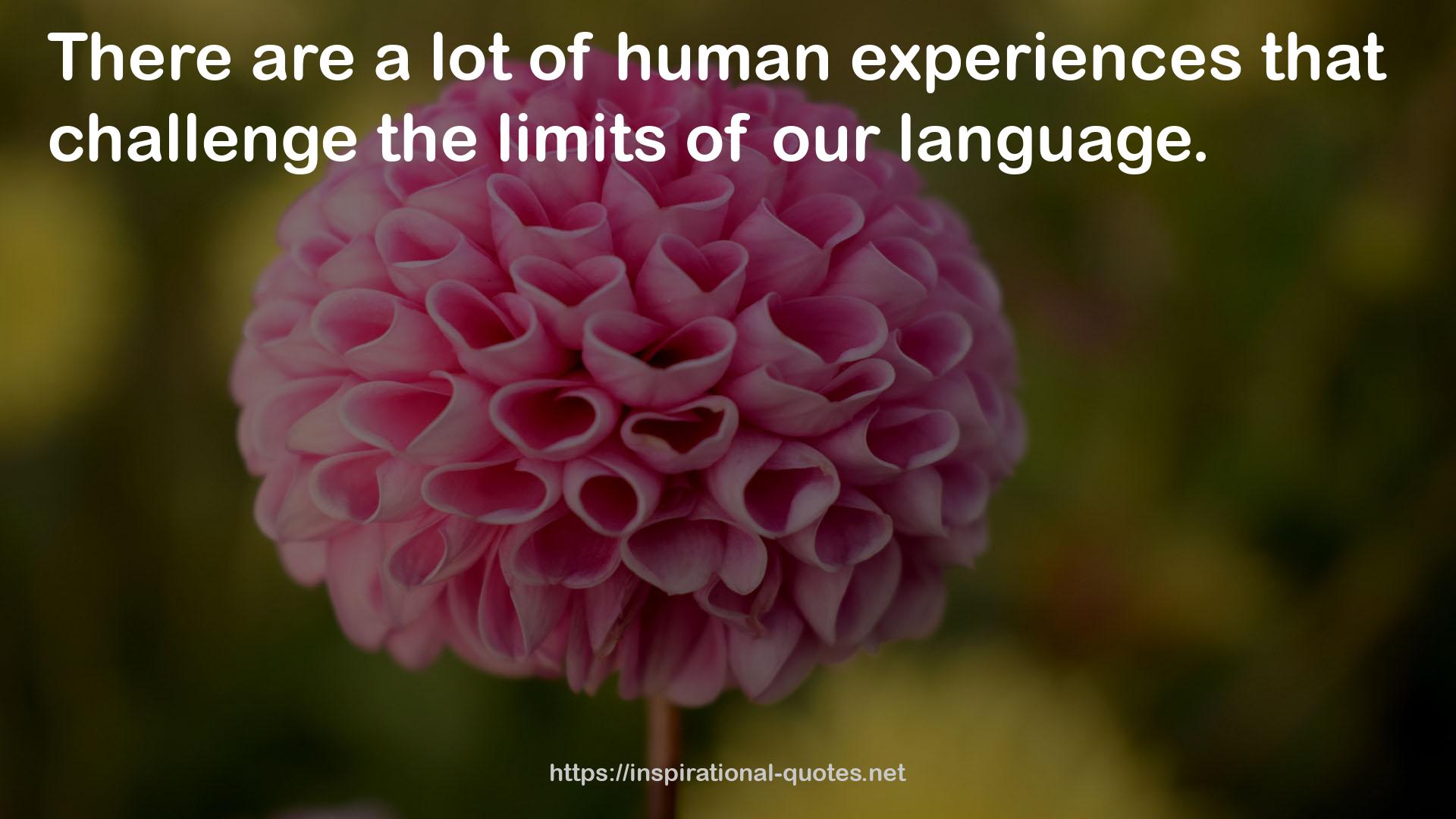 human experiences  QUOTES