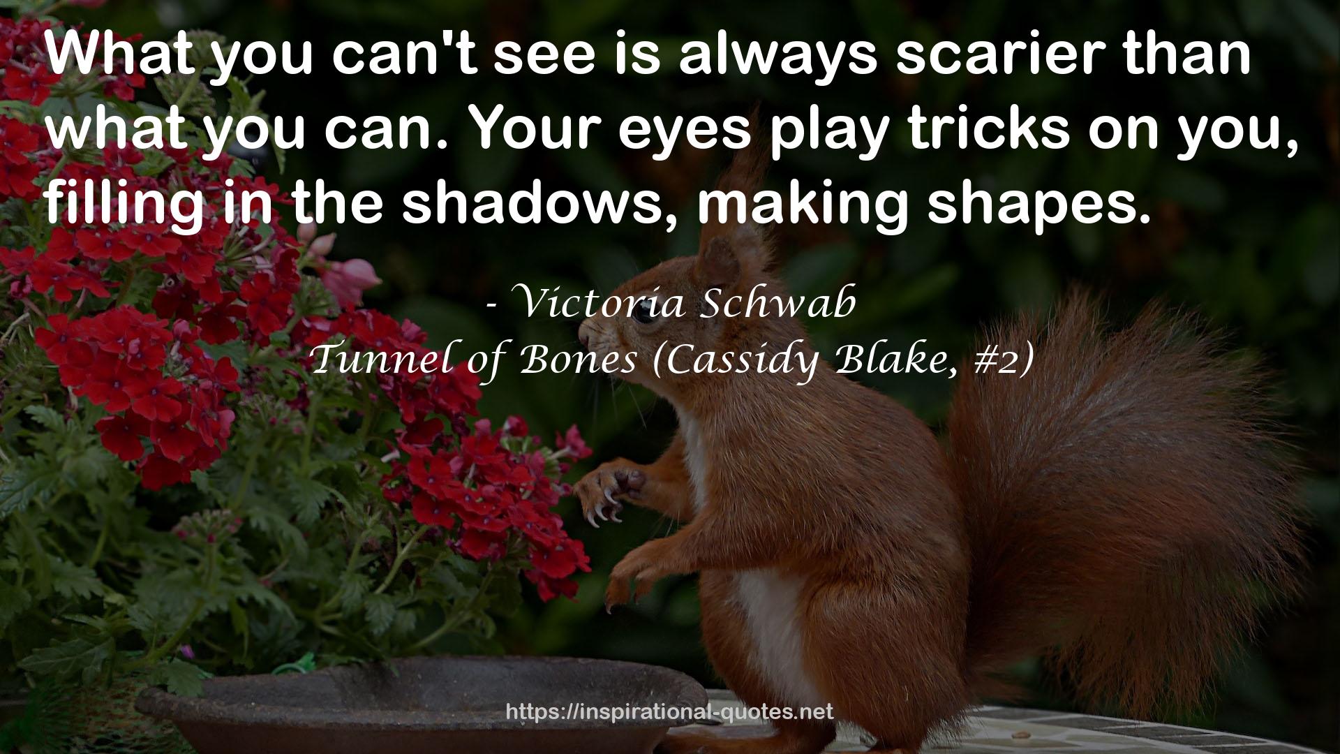 Tunnel of Bones (Cassidy Blake, #2) QUOTES