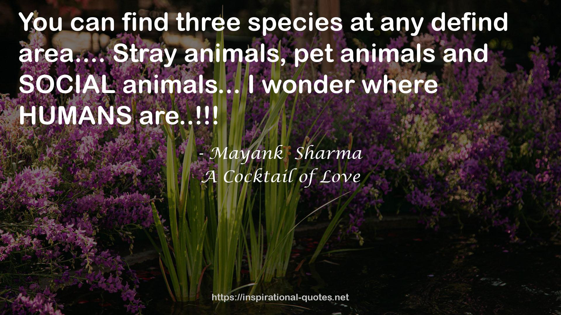 three species  QUOTES