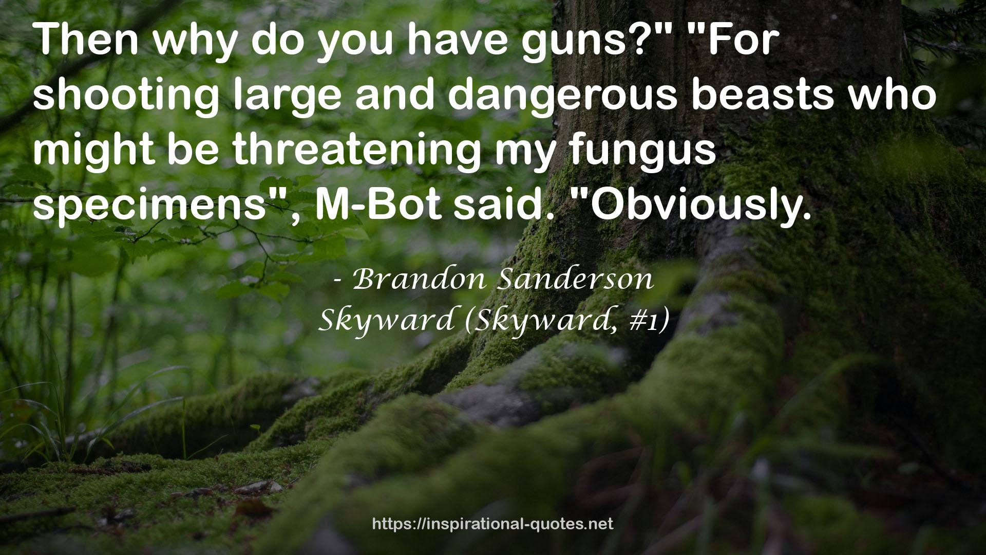 Skyward (Skyward, #1) QUOTES