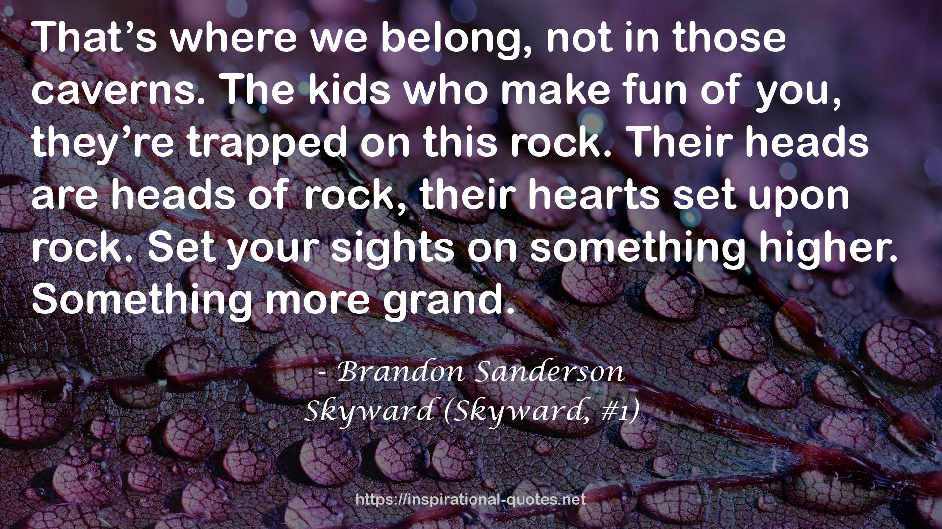 Skyward (Skyward, #1) QUOTES