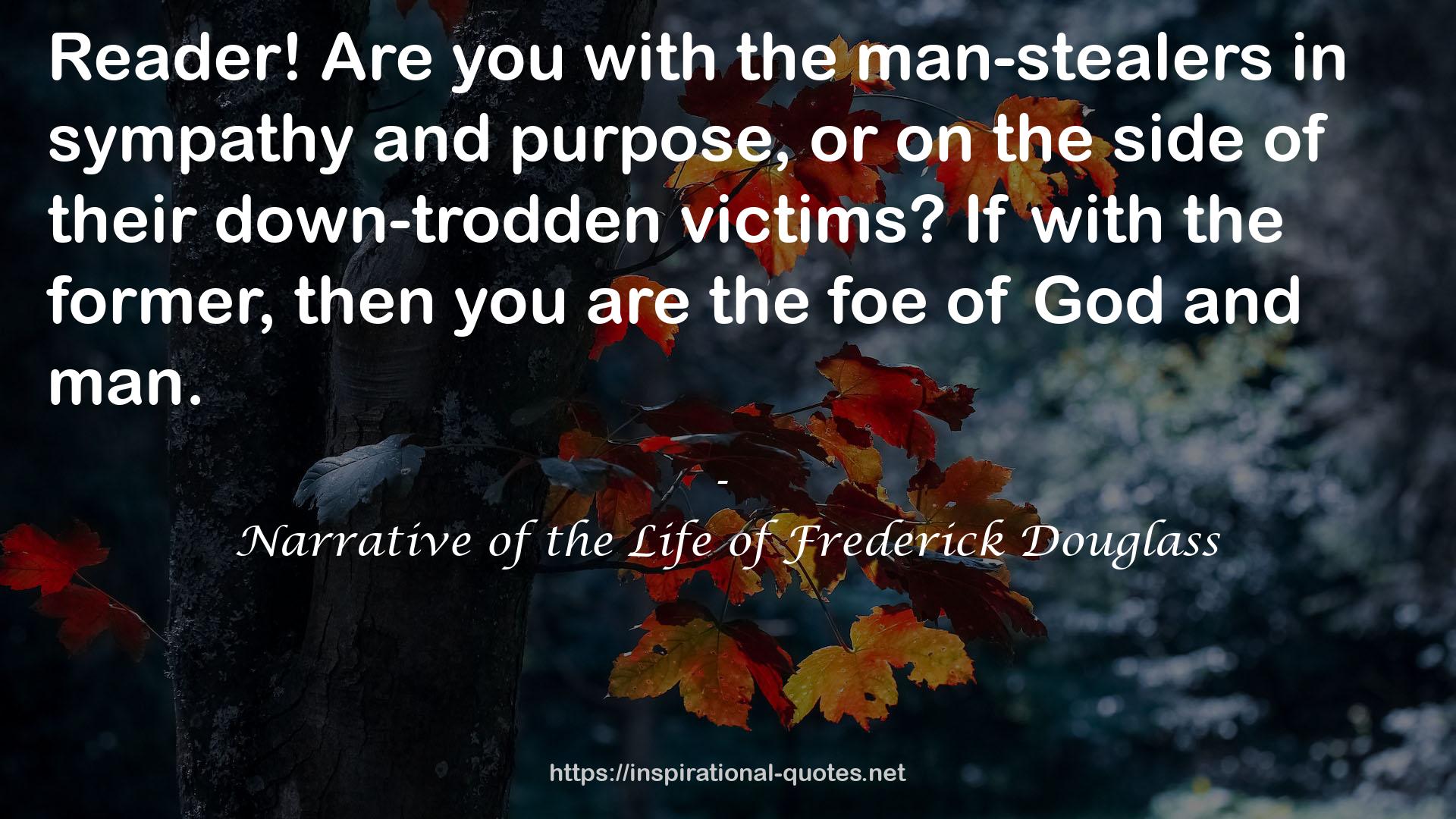 Narrative of the Life of Frederick Douglass QUOTES