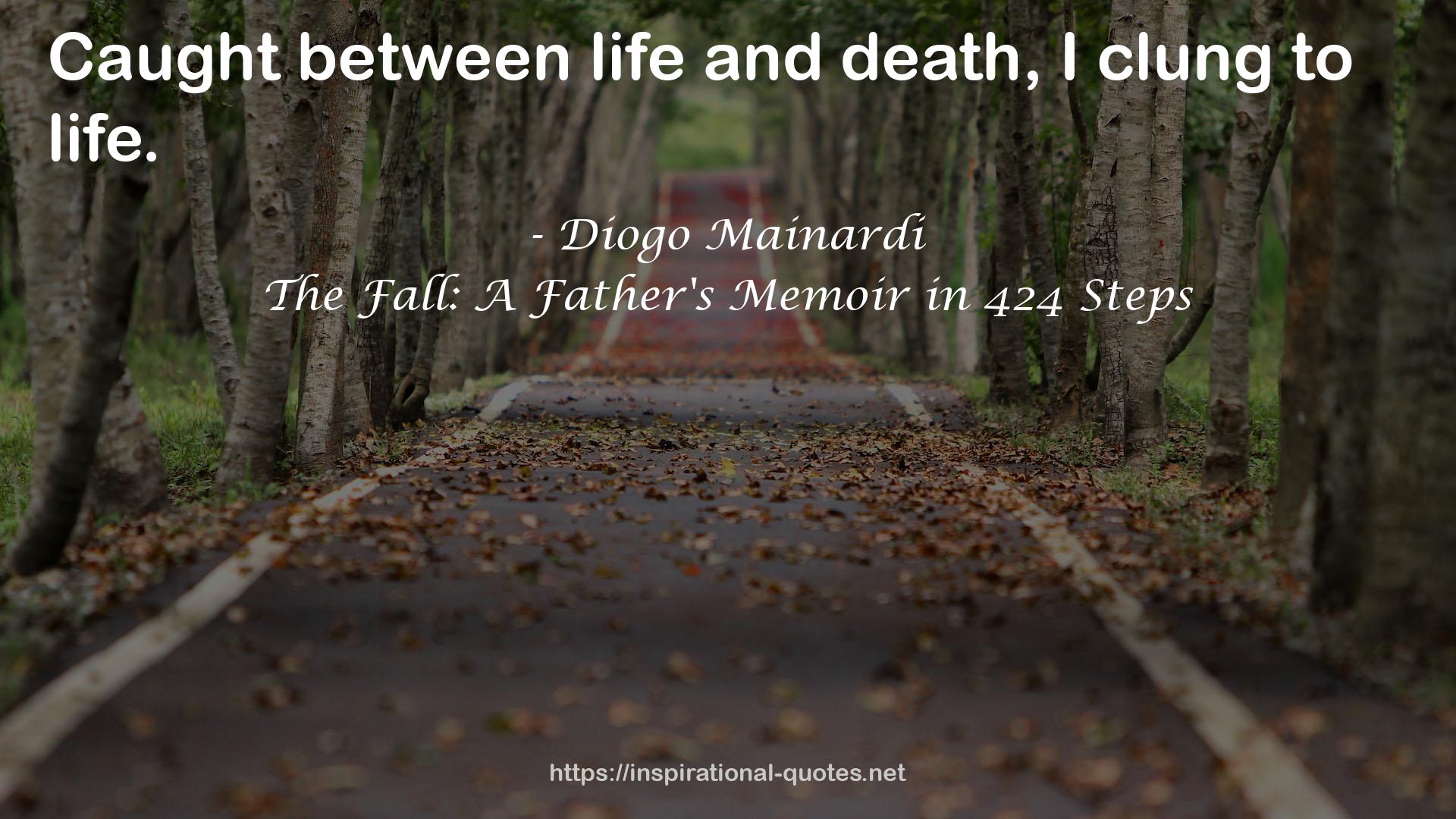 The Fall: A Father's Memoir in 424 Steps QUOTES