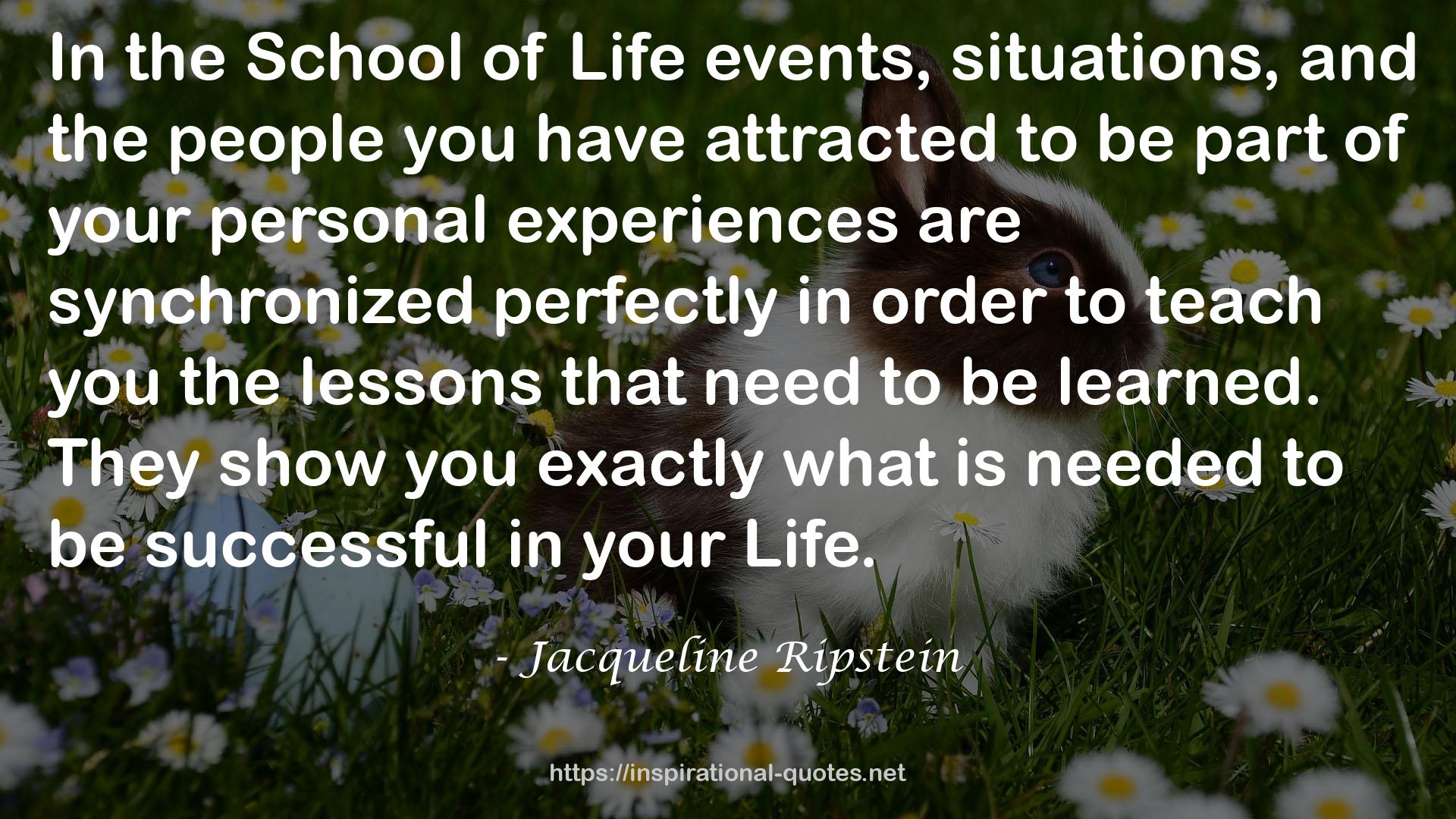 the School of Life  QUOTES