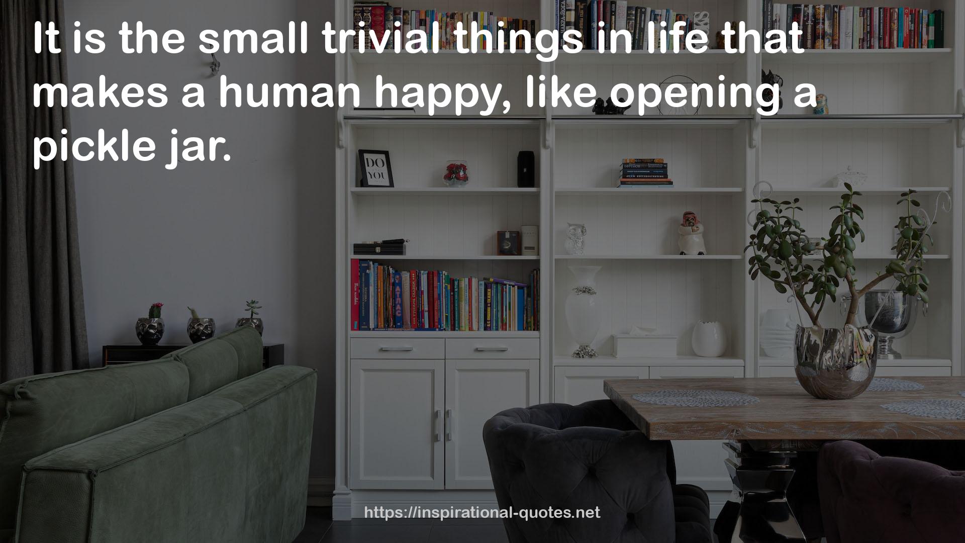the small trivial things  QUOTES