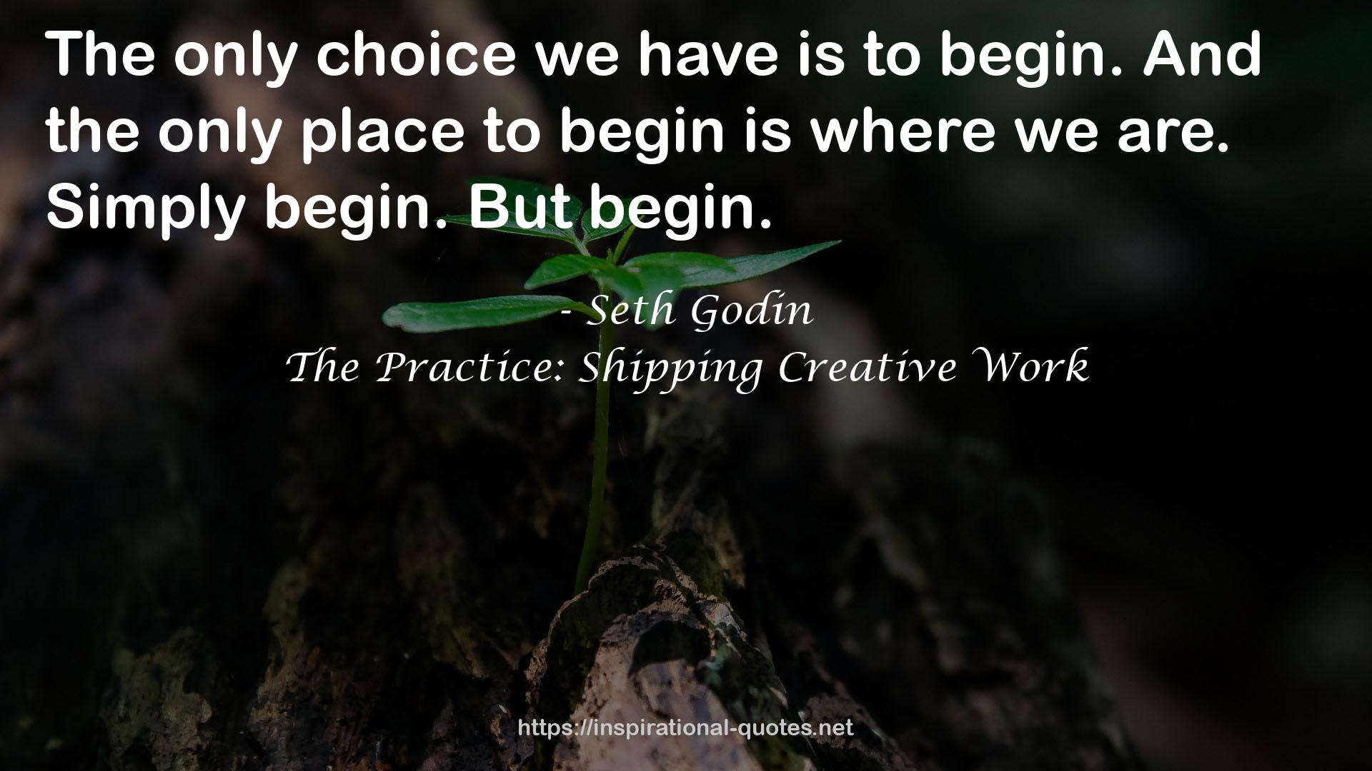 The Practice: Shipping Creative Work QUOTES