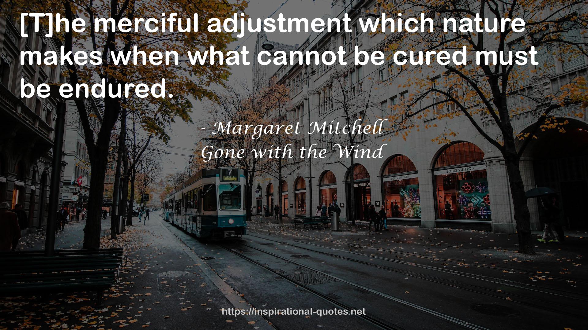 merciful adjustment  QUOTES