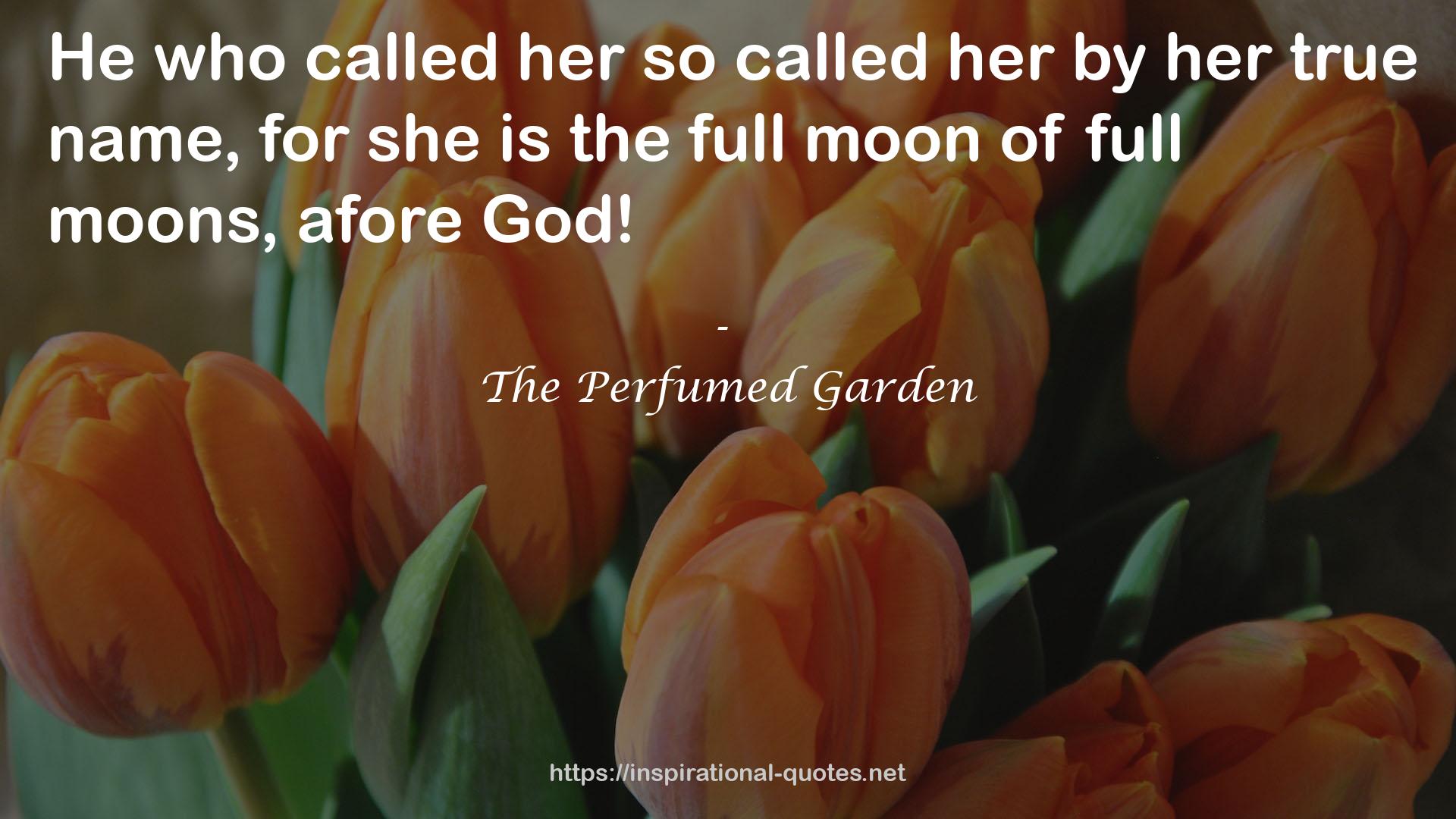 The Perfumed Garden QUOTES