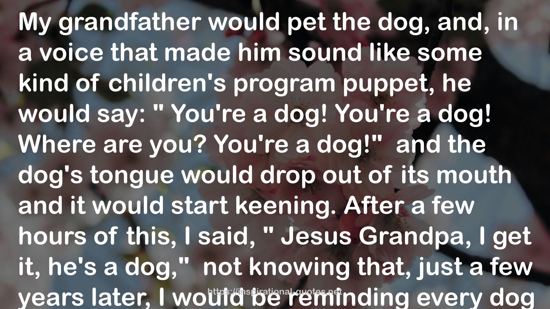 the dog's tongue  QUOTES