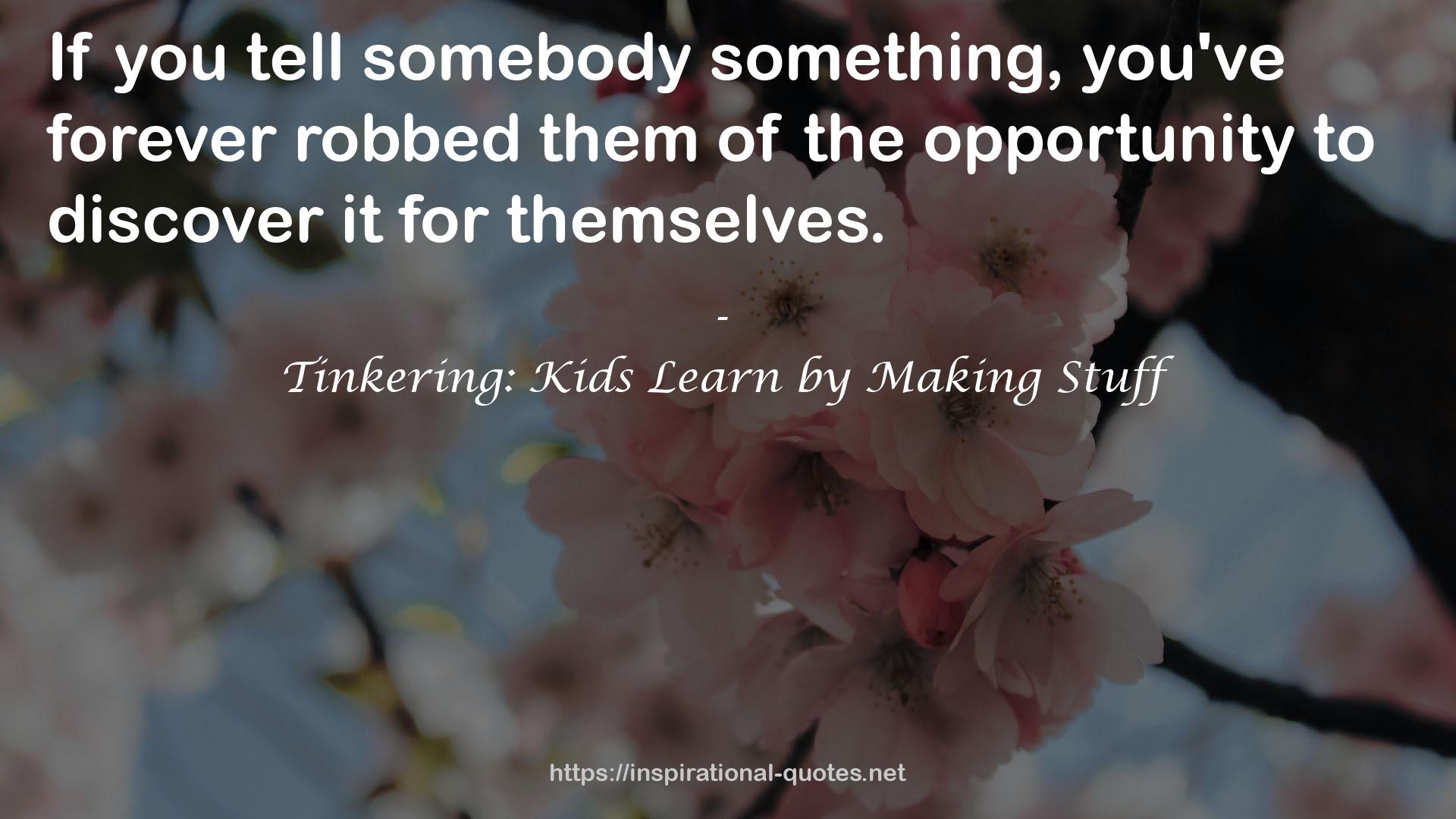 Tinkering: Kids Learn by Making Stuff QUOTES