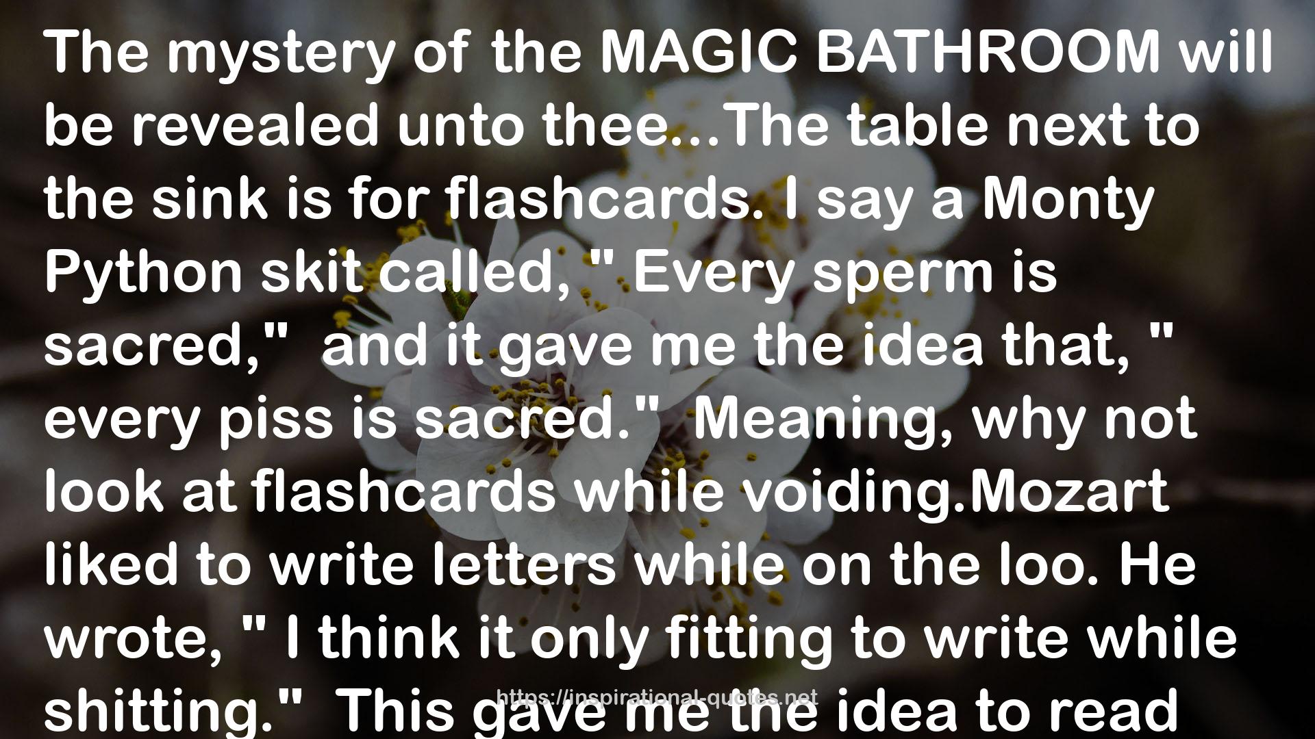 the Magic Bathroom  QUOTES