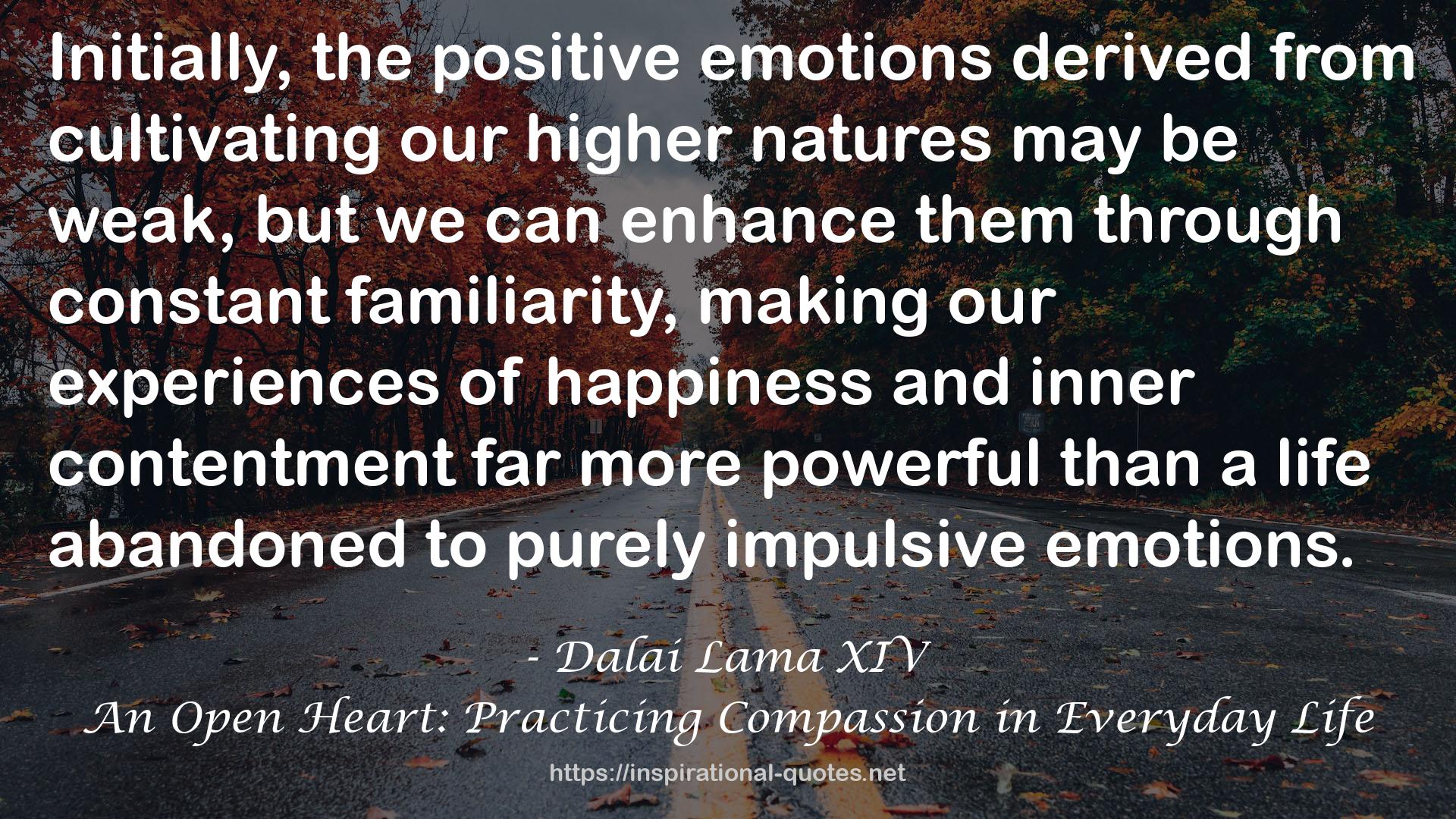 An Open Heart: Practicing Compassion in Everyday Life QUOTES