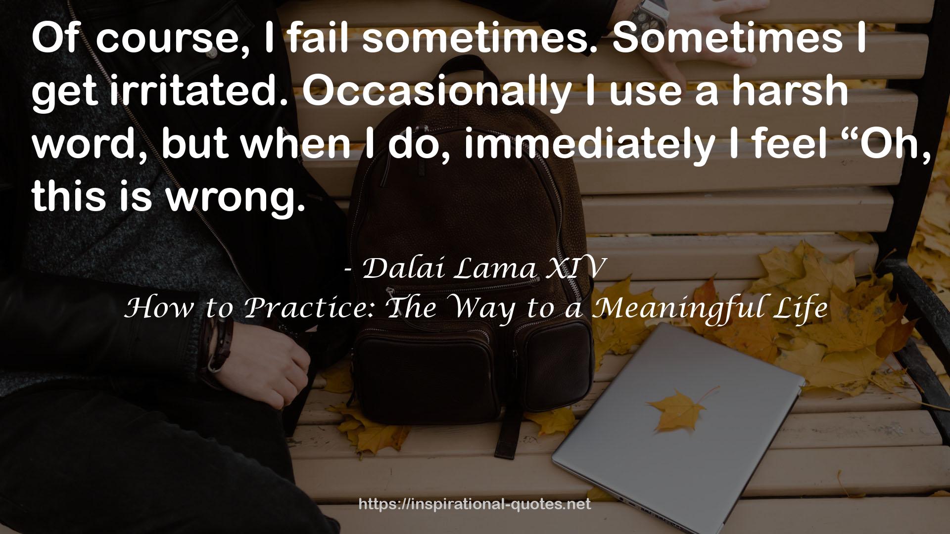 How to Practice: The Way to a Meaningful Life QUOTES