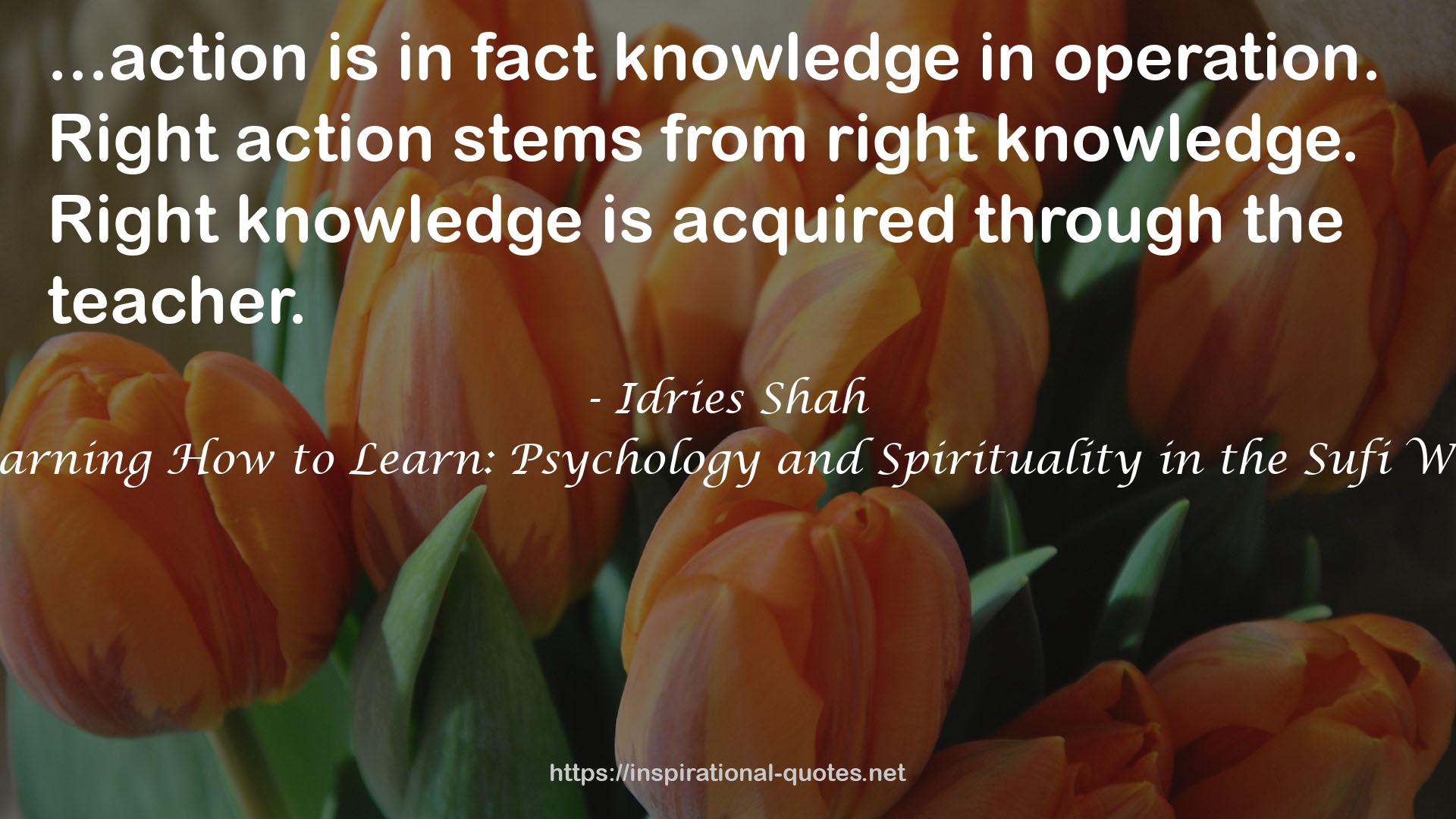 right knowledge  QUOTES