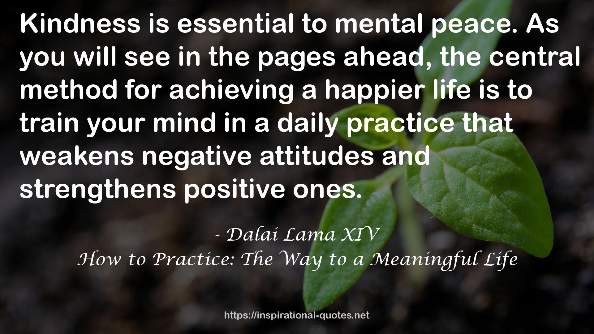 How to Practice: The Way to a Meaningful Life QUOTES