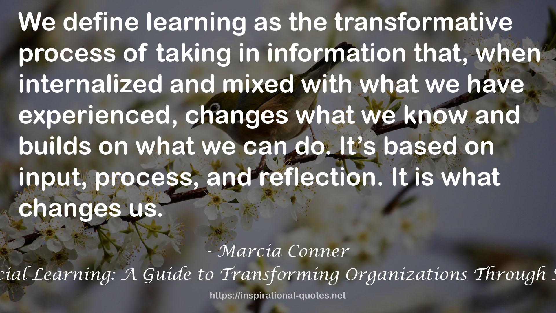 The New Social Learning: A Guide to Transforming Organizations Through Social Media QUOTES
