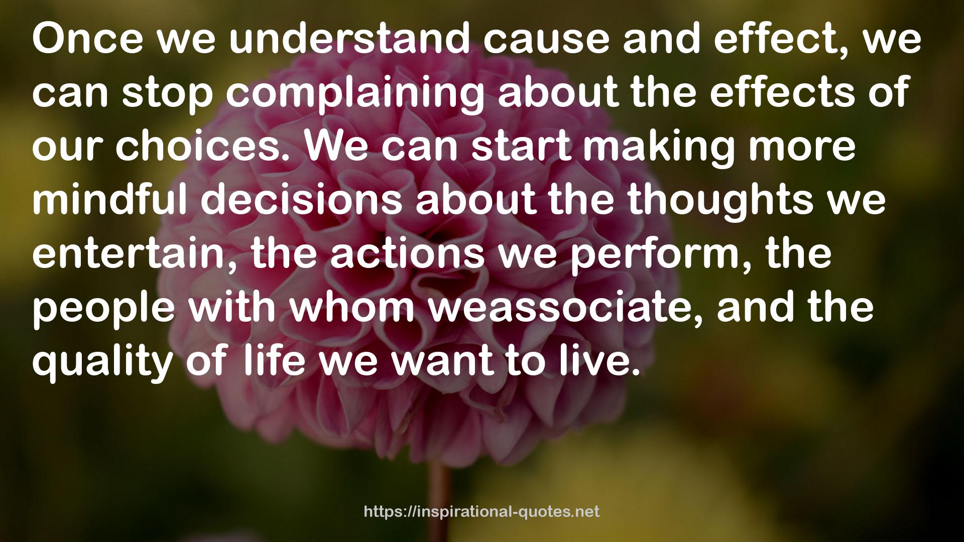 more mindful decisions  QUOTES