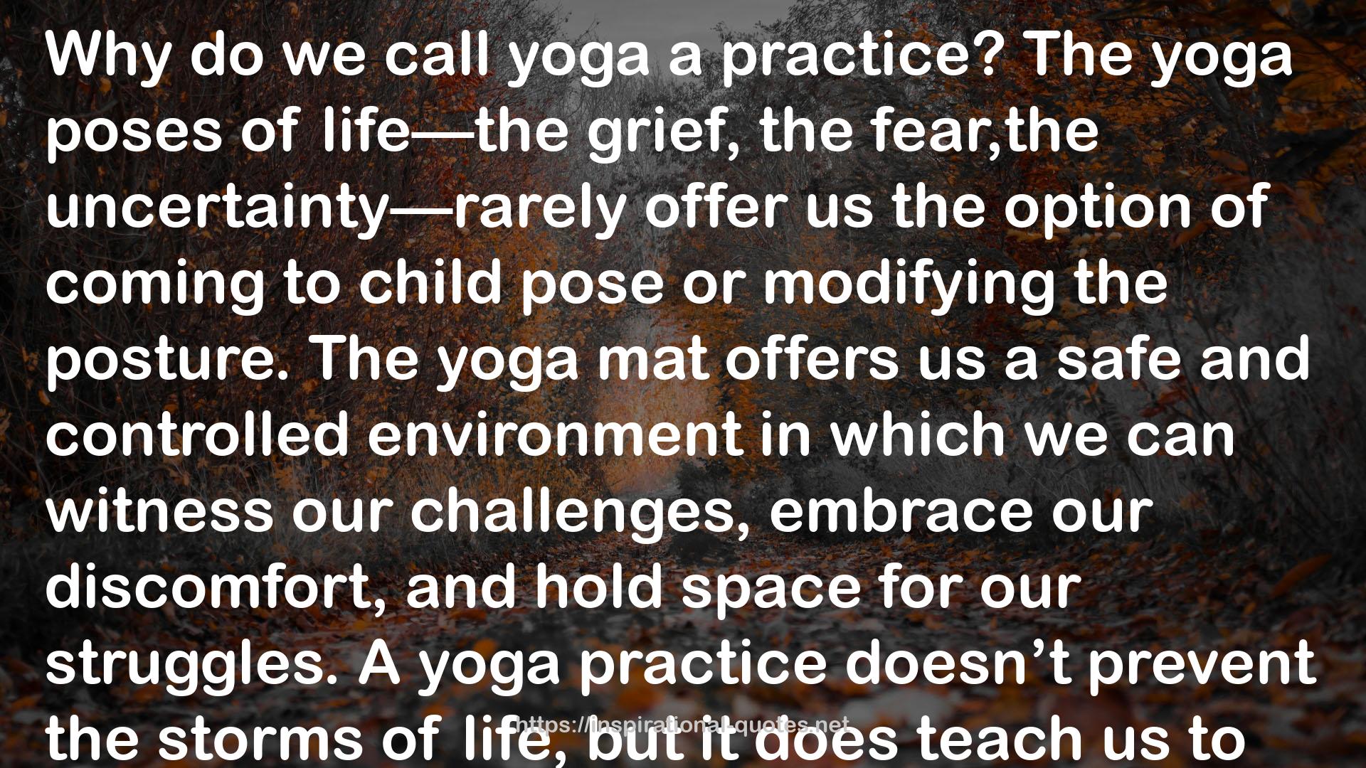 The yoga poses  QUOTES