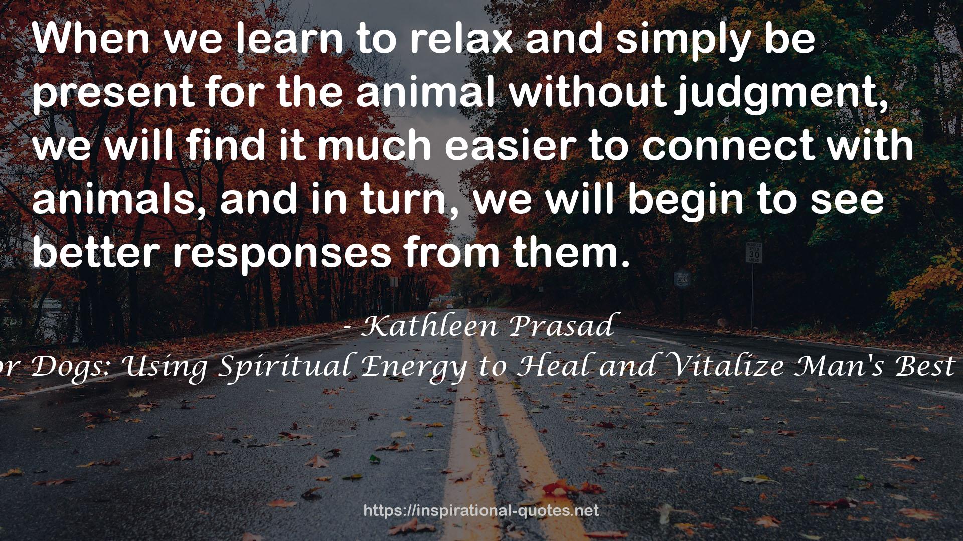 Reiki for Dogs: Using Spiritual Energy to Heal and Vitalize Man's Best Friend QUOTES
