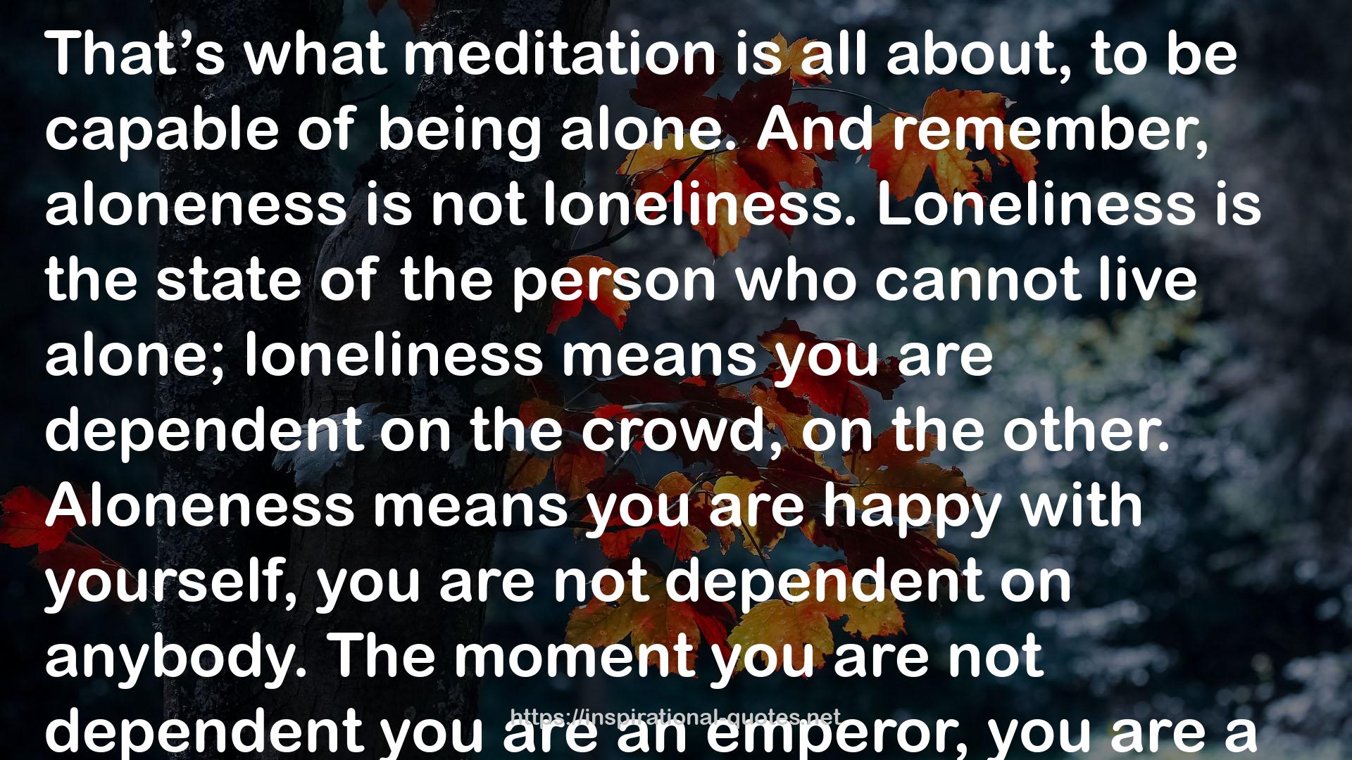 what meditation  QUOTES