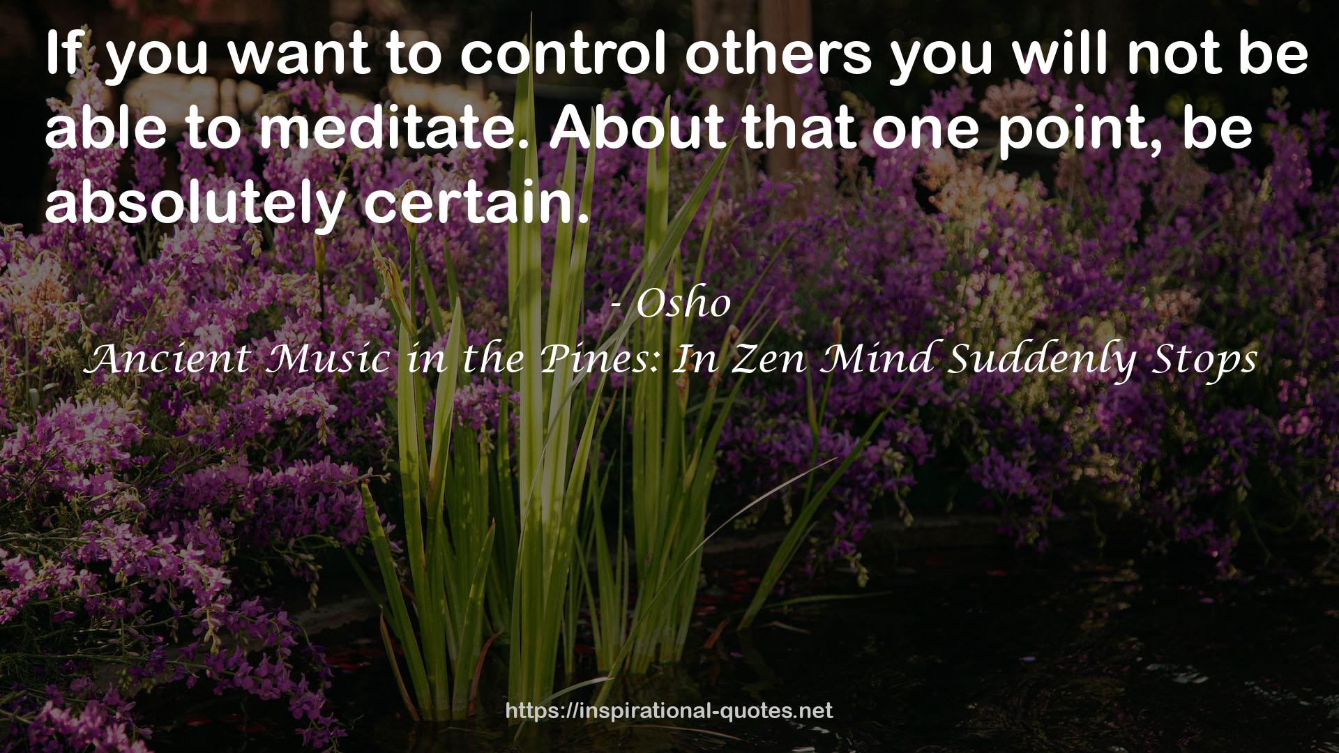 Ancient Music in the Pines: In Zen Mind Suddenly Stops QUOTES