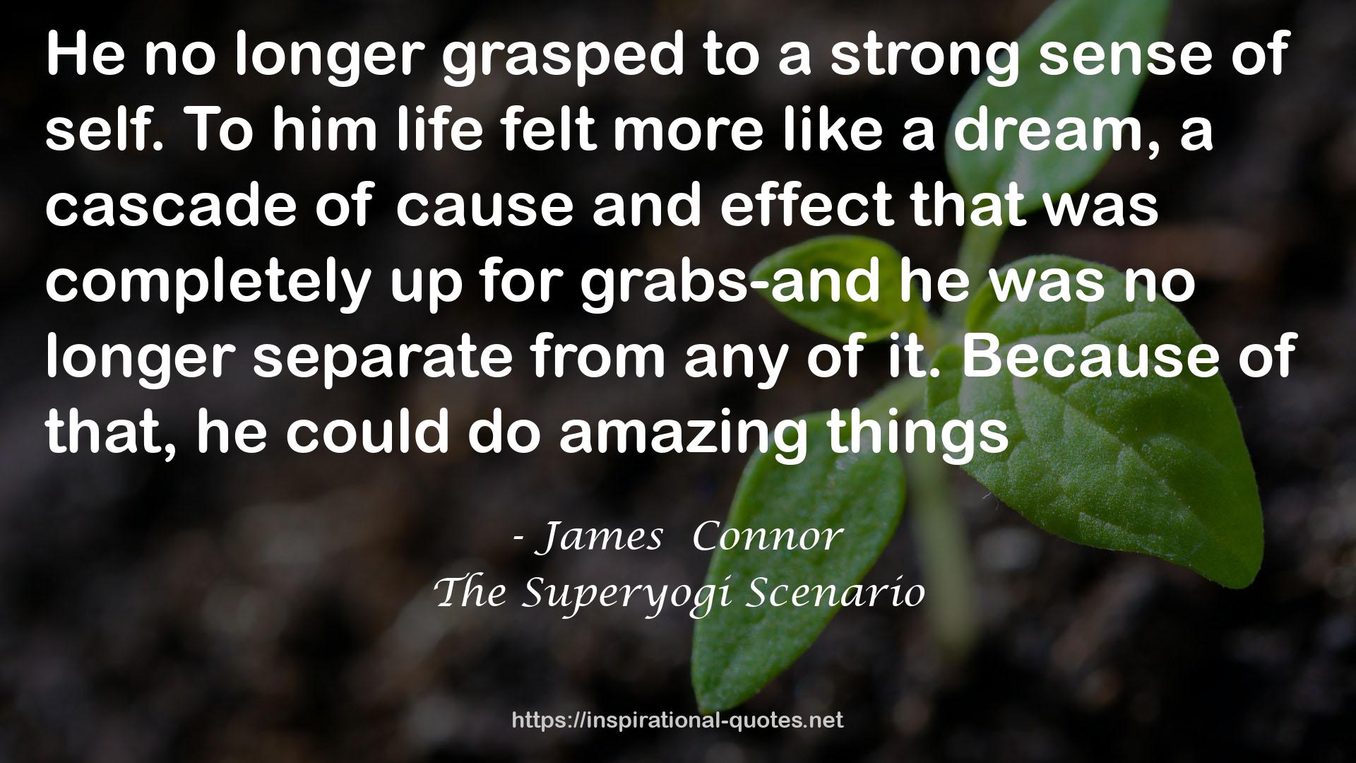 The Superyogi Scenario QUOTES