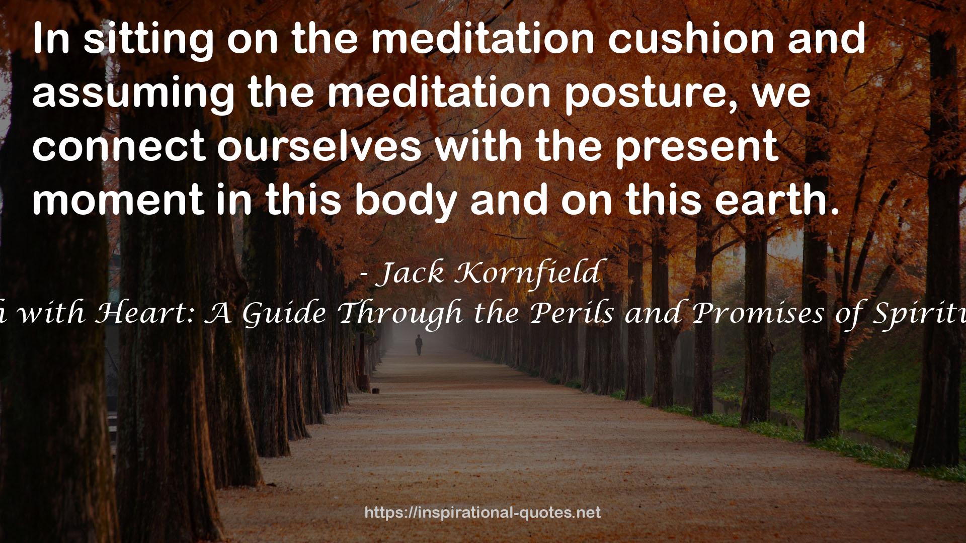 the meditation cushion  QUOTES