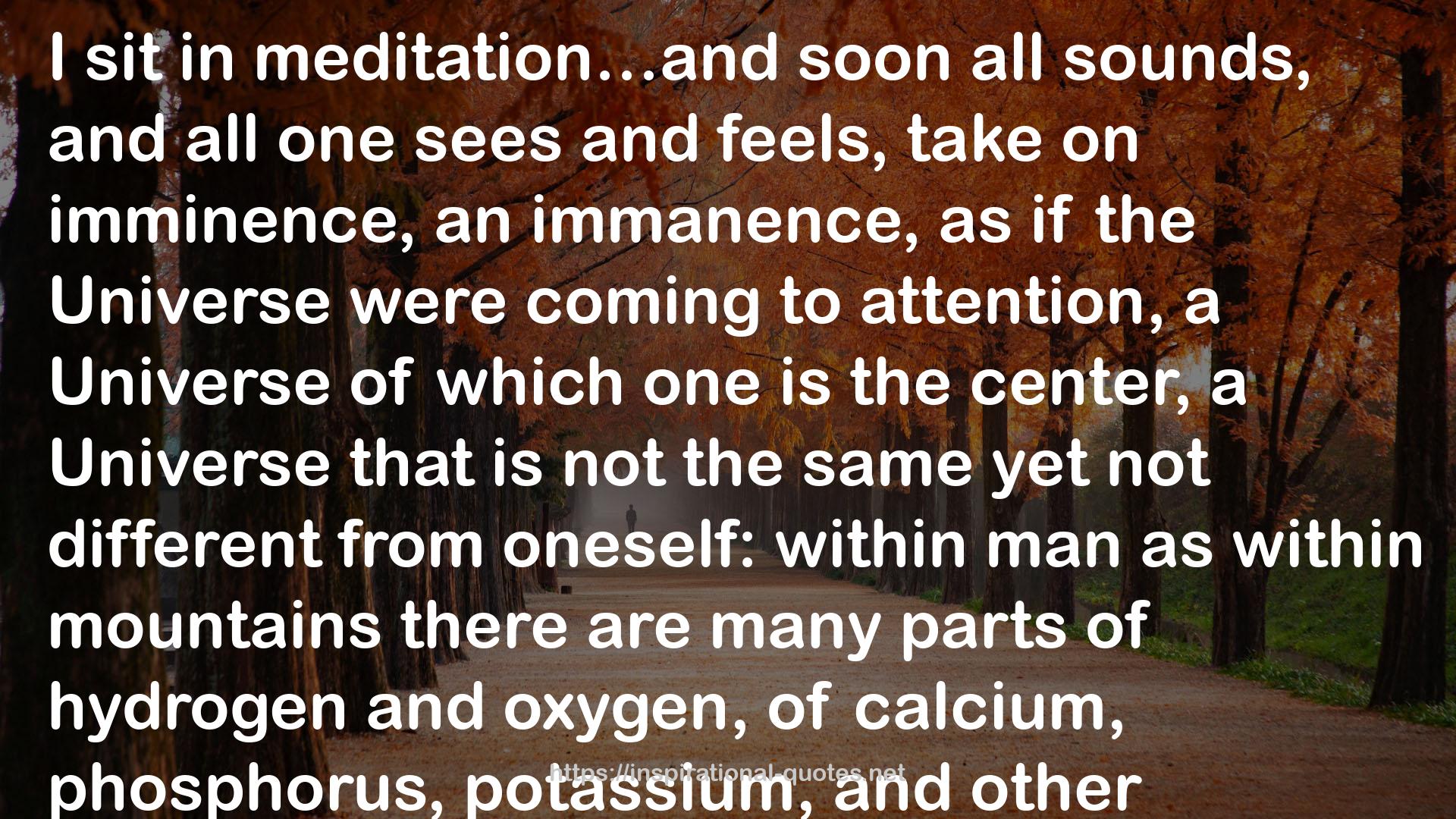 Meditation)The  QUOTES