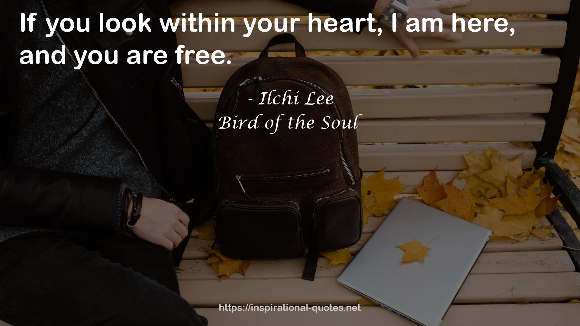Bird of the Soul QUOTES