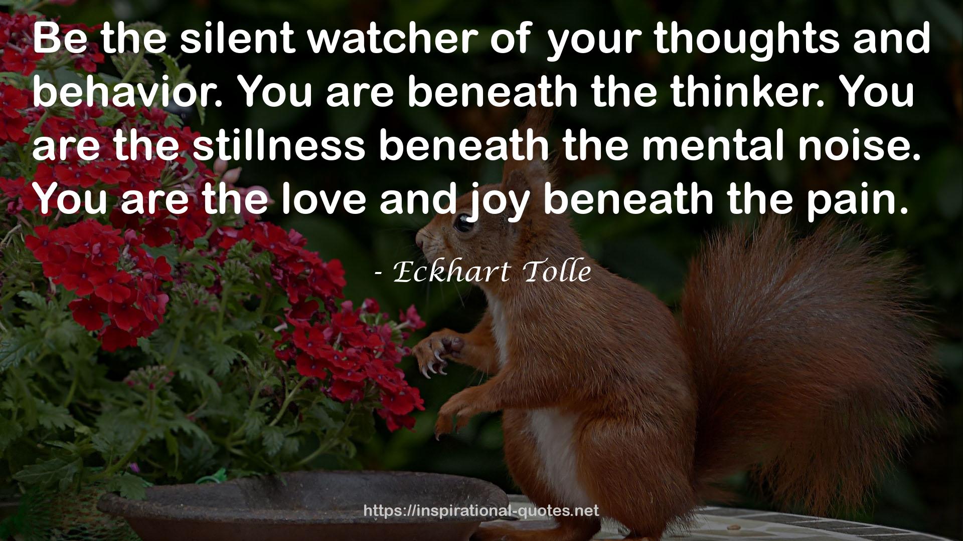 the silent watcher  QUOTES