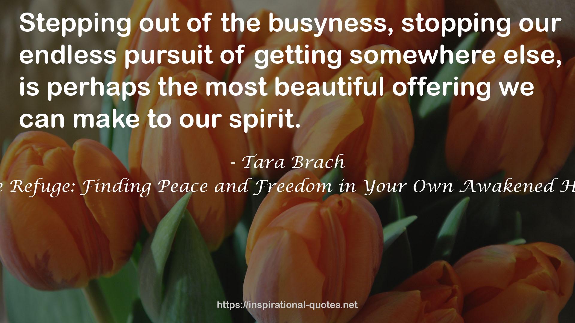 True Refuge: Finding Peace and Freedom in Your Own Awakened Heart QUOTES
