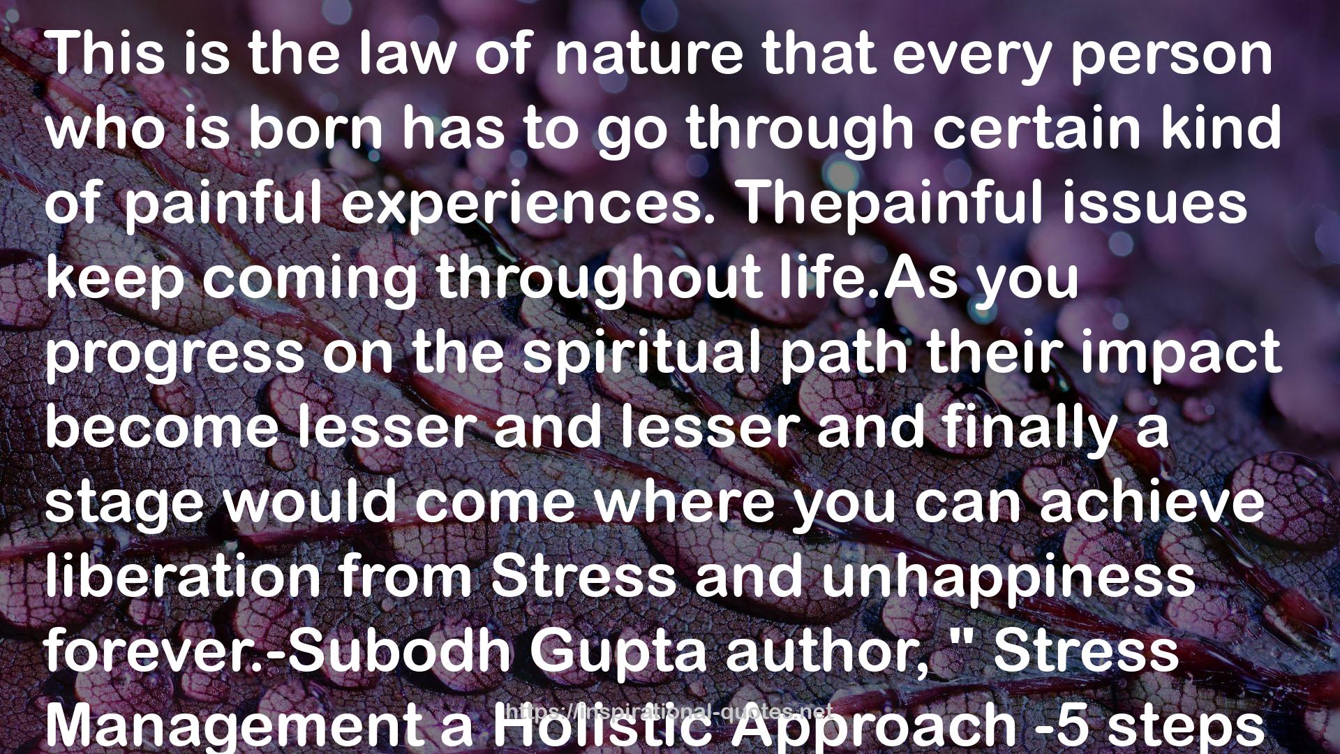 The spiritual path  QUOTES