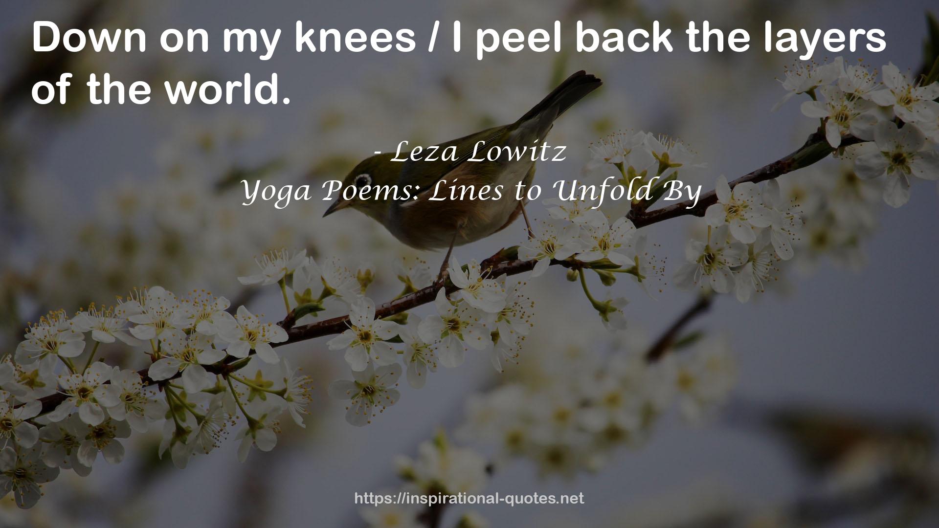 Yoga Poems: Lines to Unfold By QUOTES