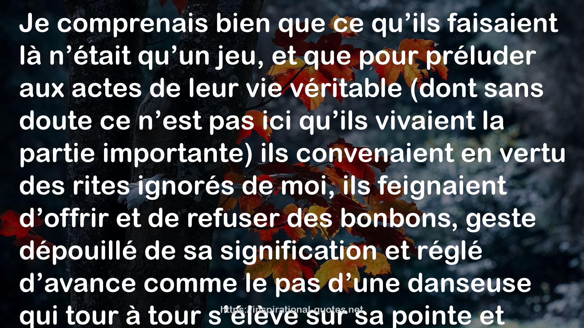 Le Côté de Guermantes I QUOTES