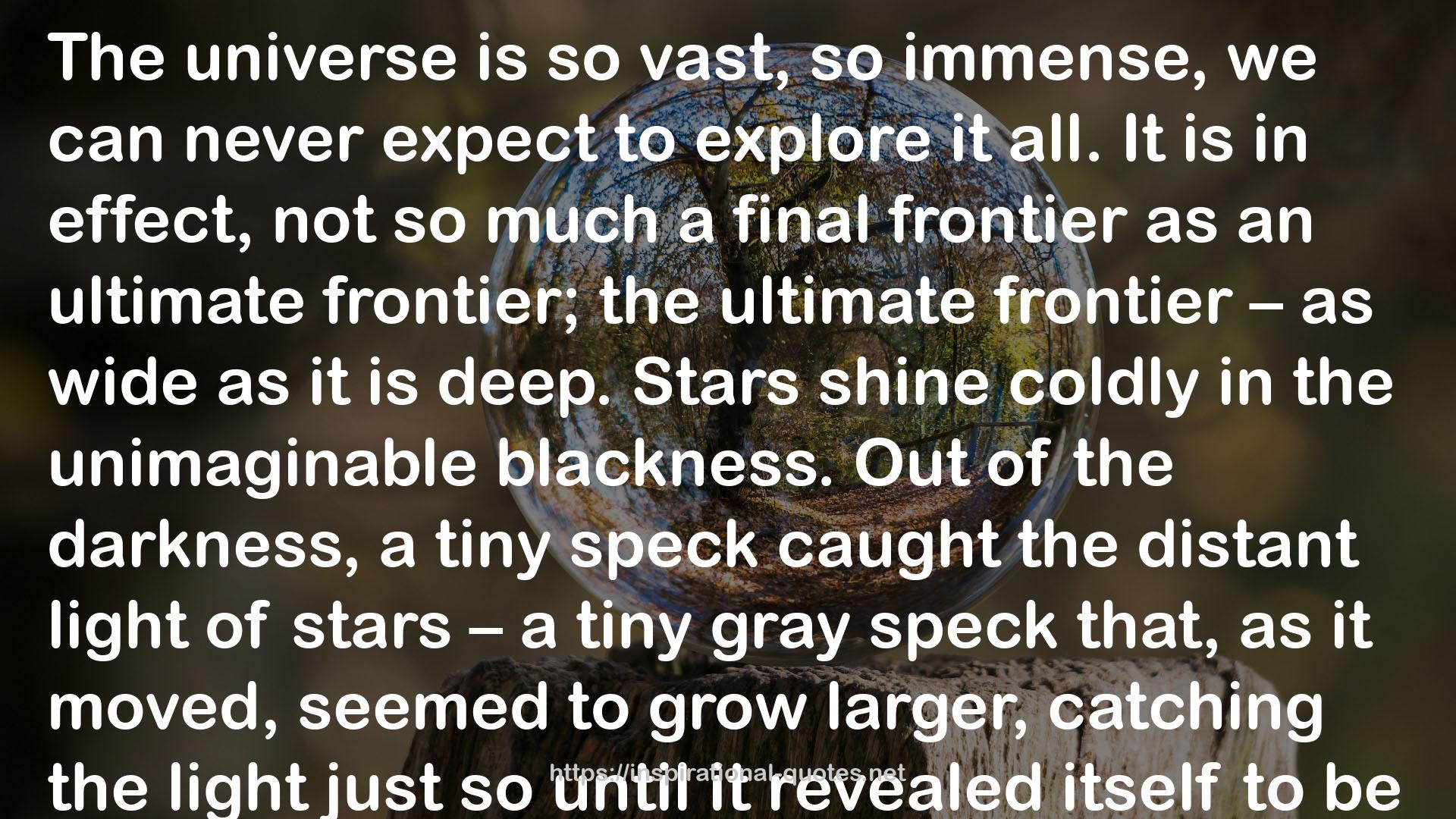 a tiny gray speck  QUOTES