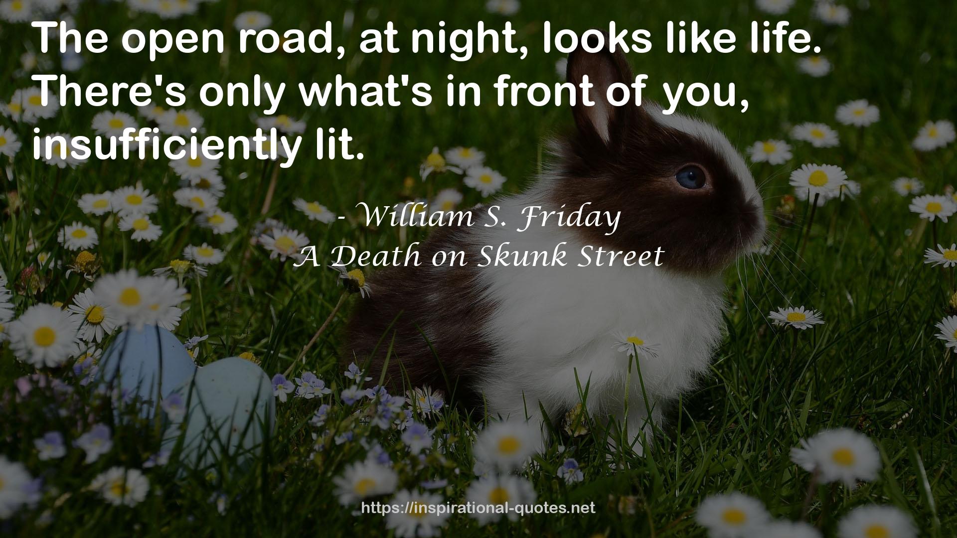 A Death on Skunk Street QUOTES