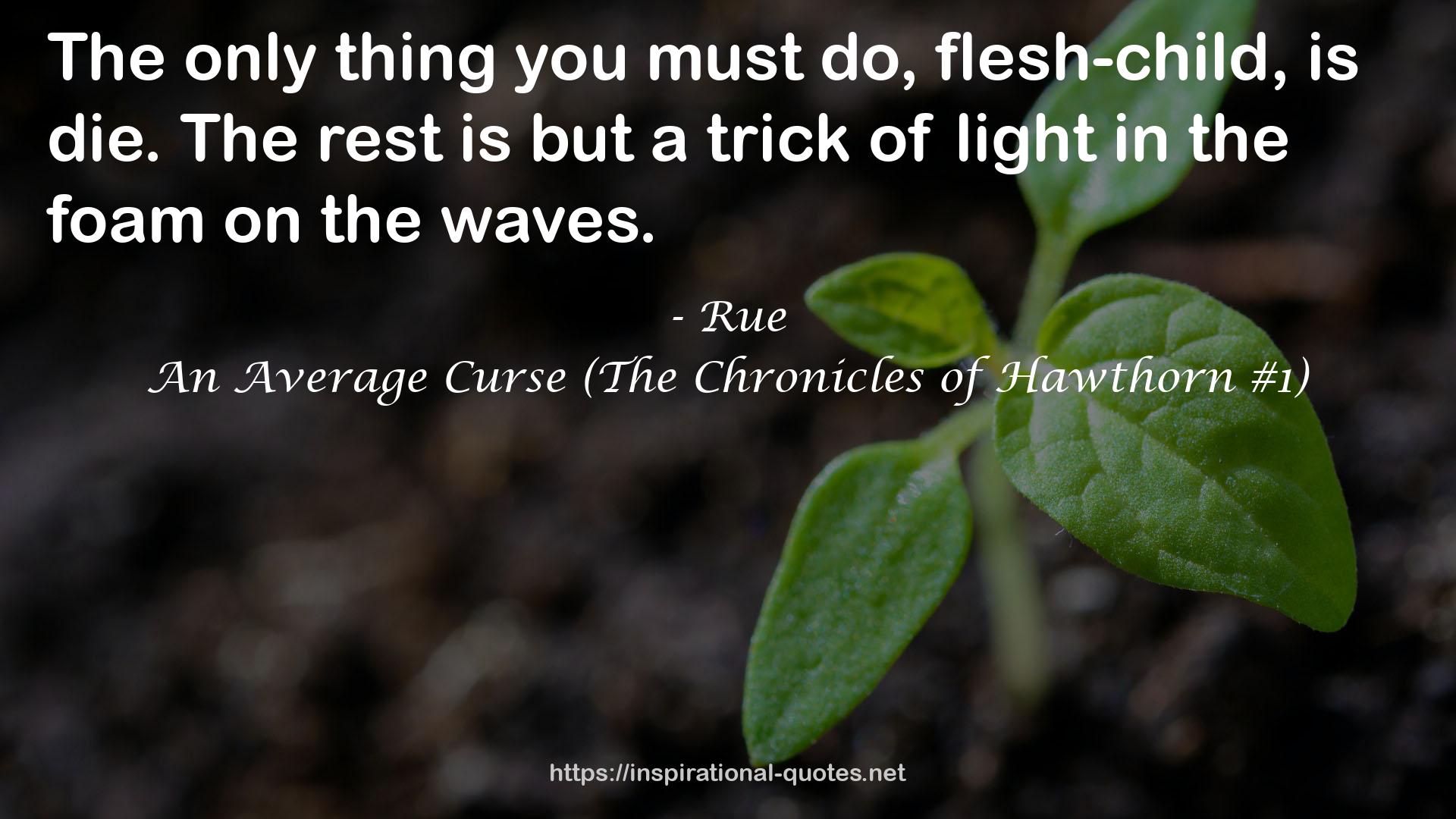 An Average Curse (The Chronicles of Hawthorn #1) QUOTES