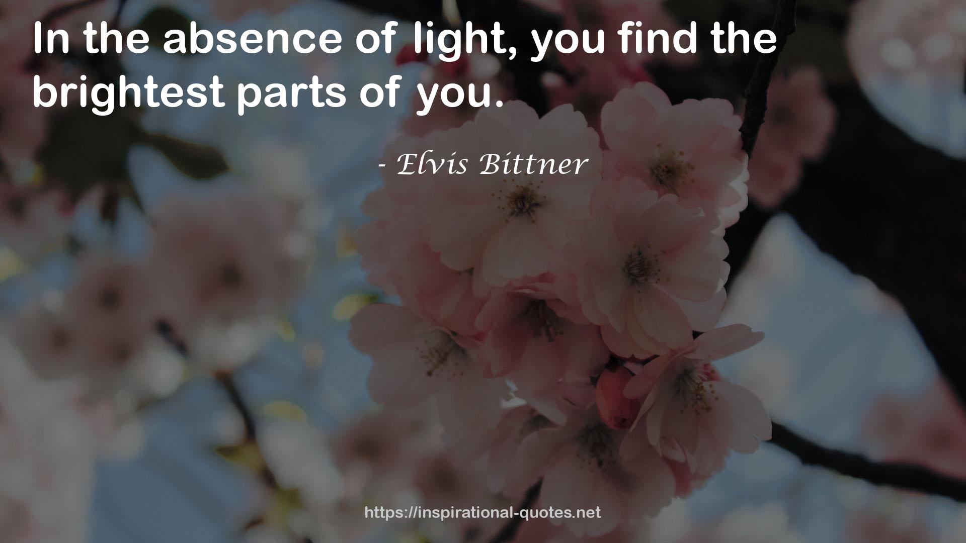 Elvis Bittner QUOTES