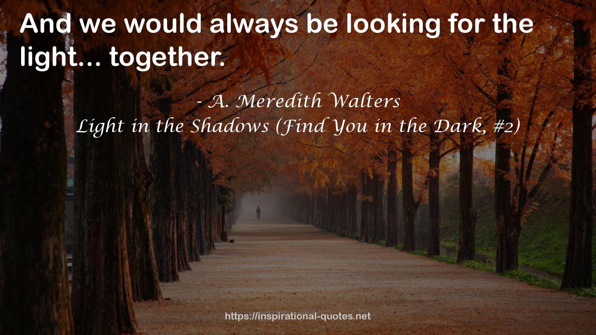 Light in the Shadows (Find You in the Dark, #2) QUOTES