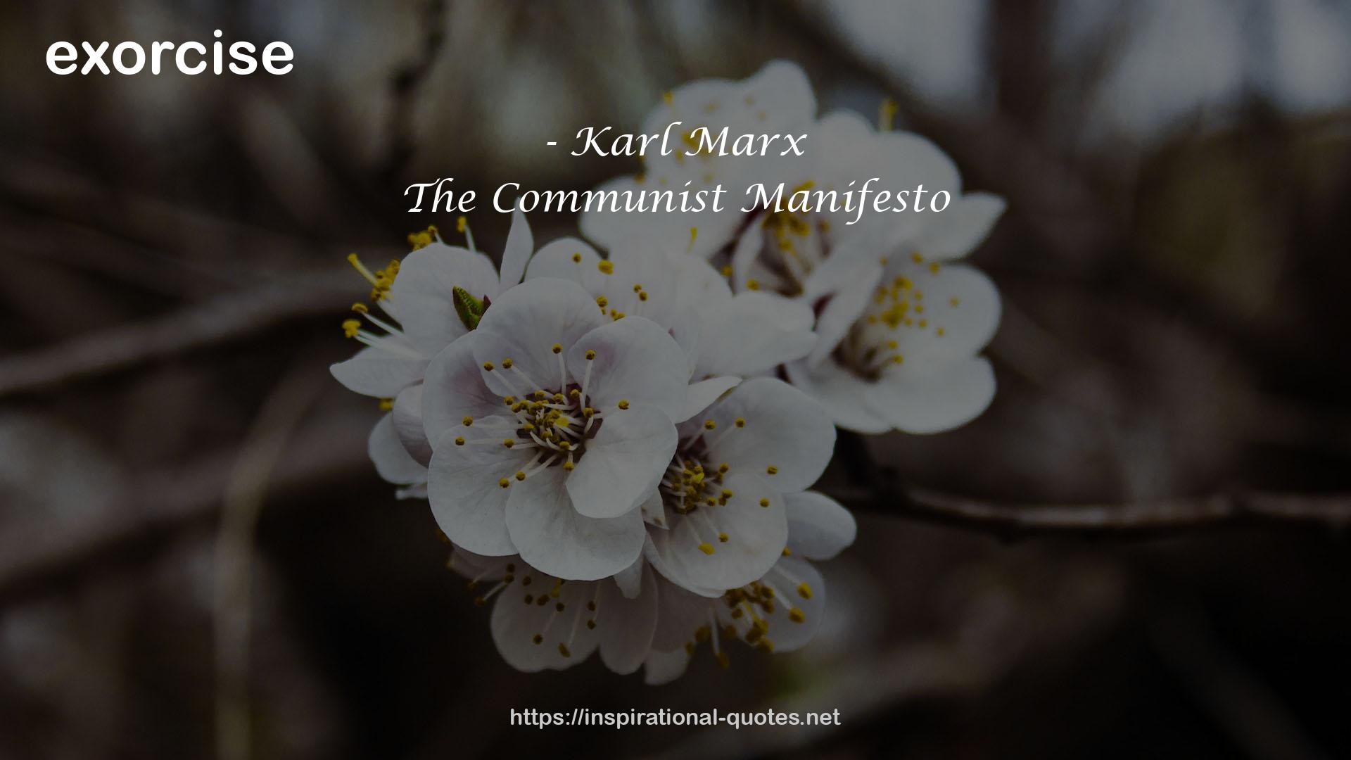 The Communist Manifesto QUOTES