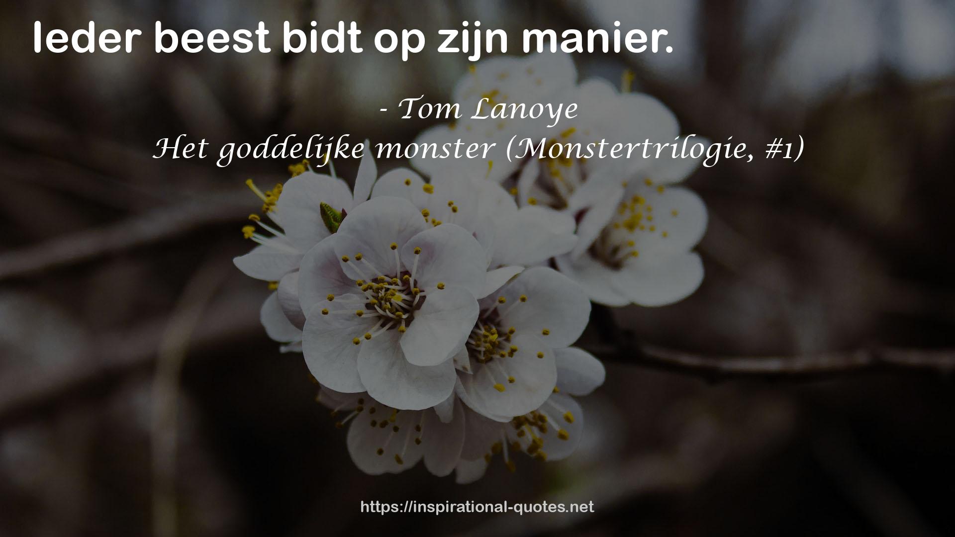 Tom Lanoye QUOTES