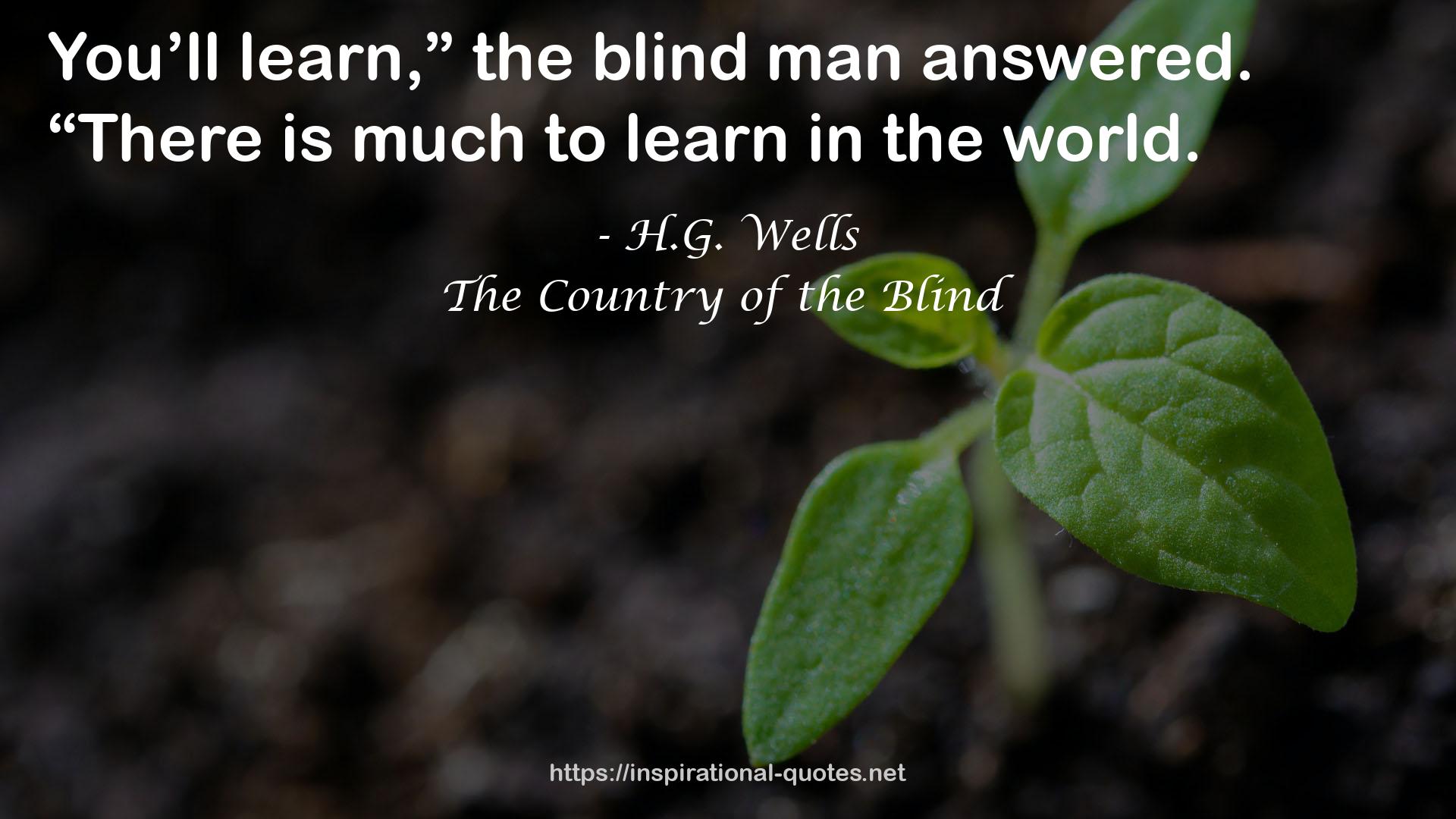 The Country of the Blind QUOTES