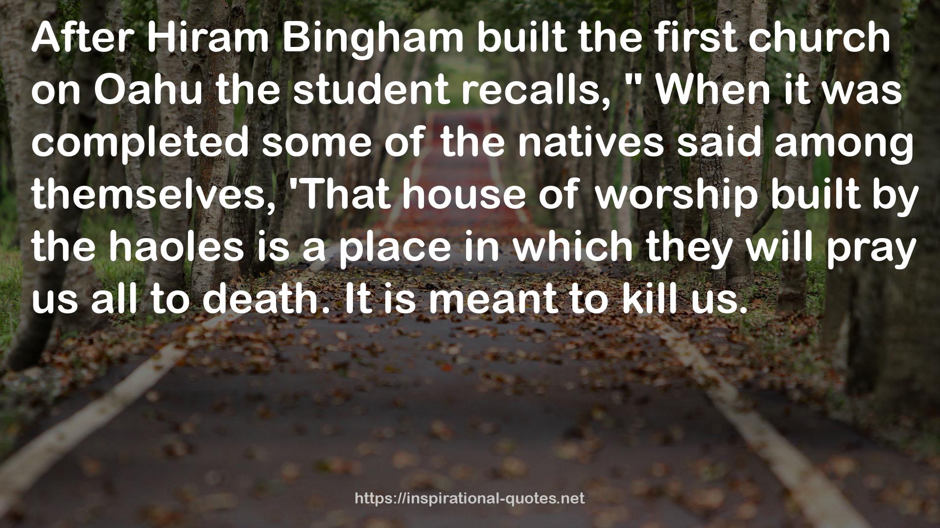 Bingham  QUOTES