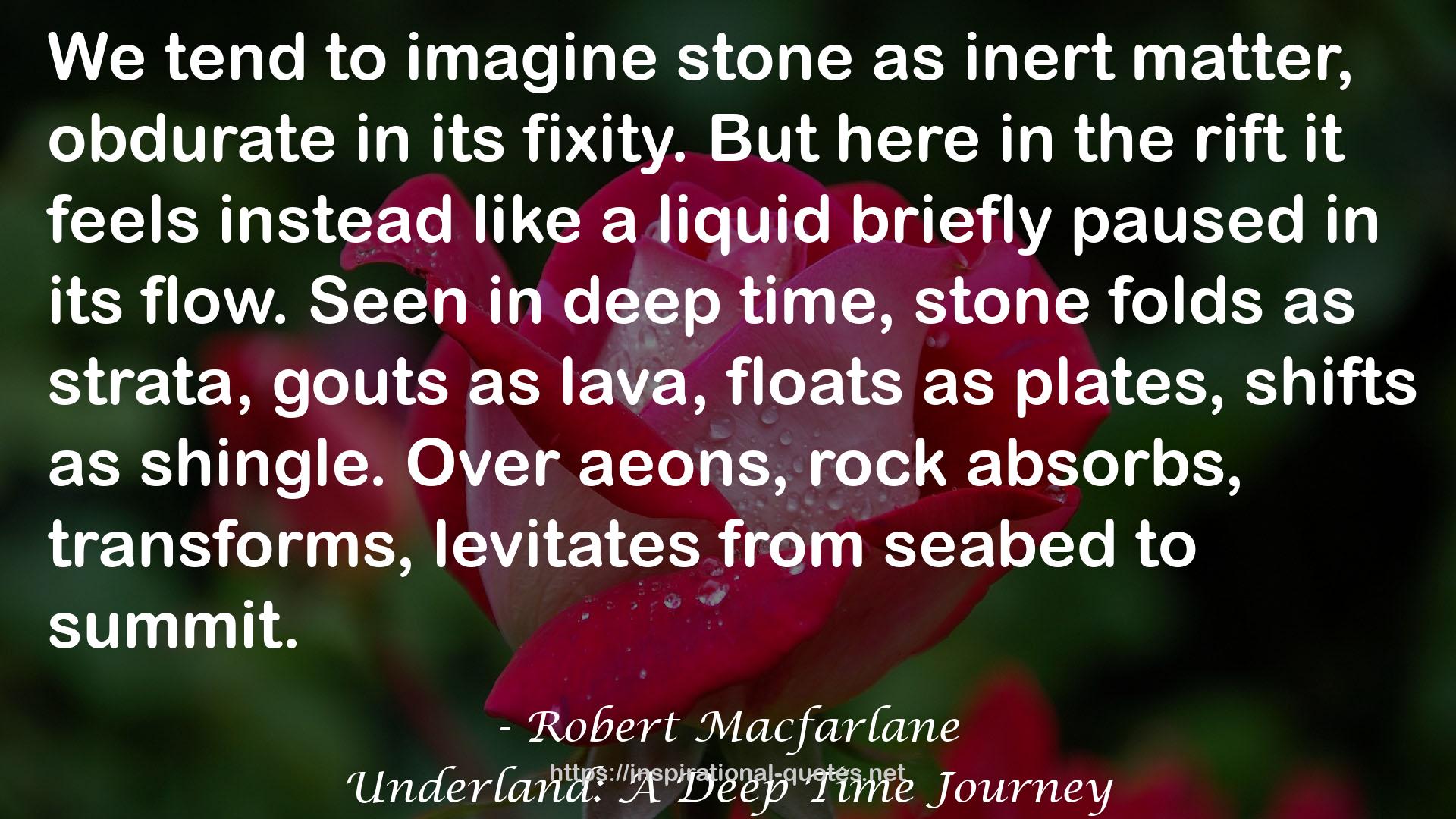 Underland: A Deep Time Journey QUOTES