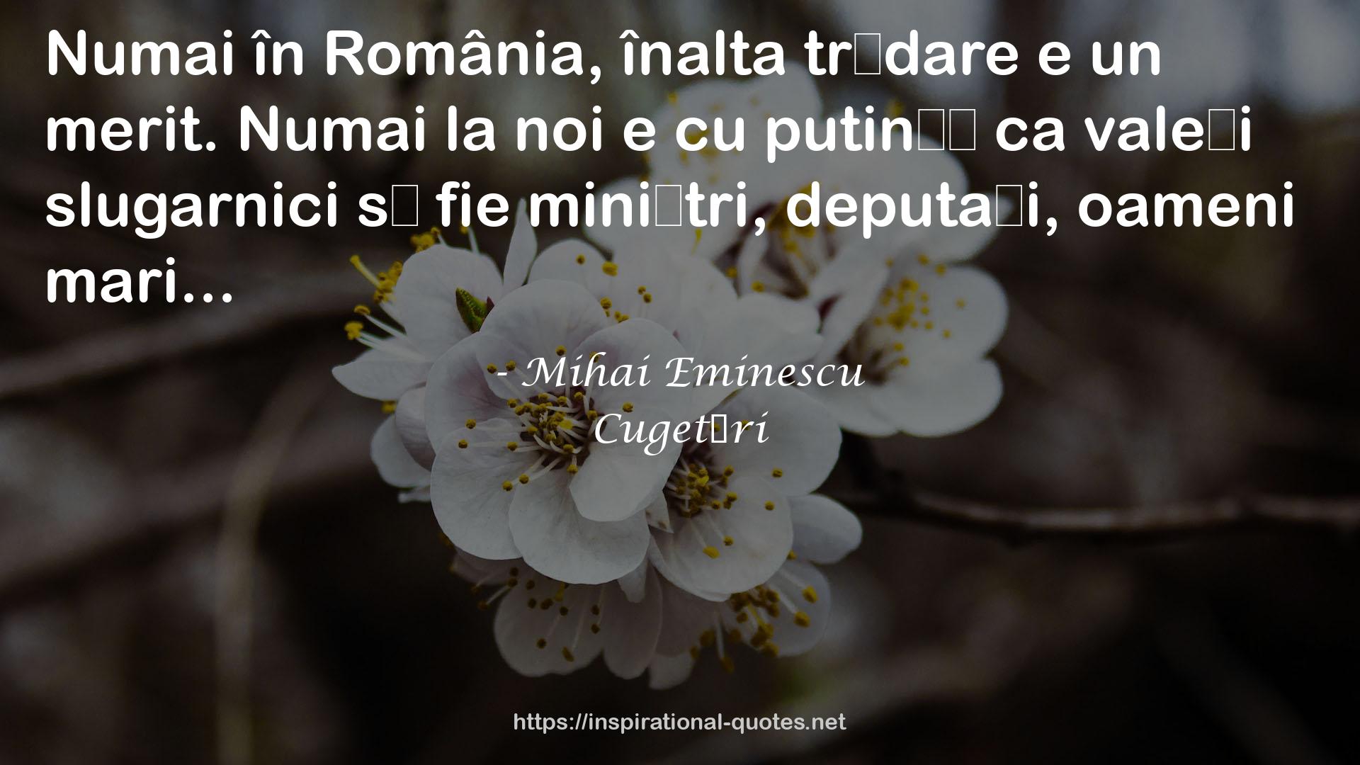 Cugetări QUOTES