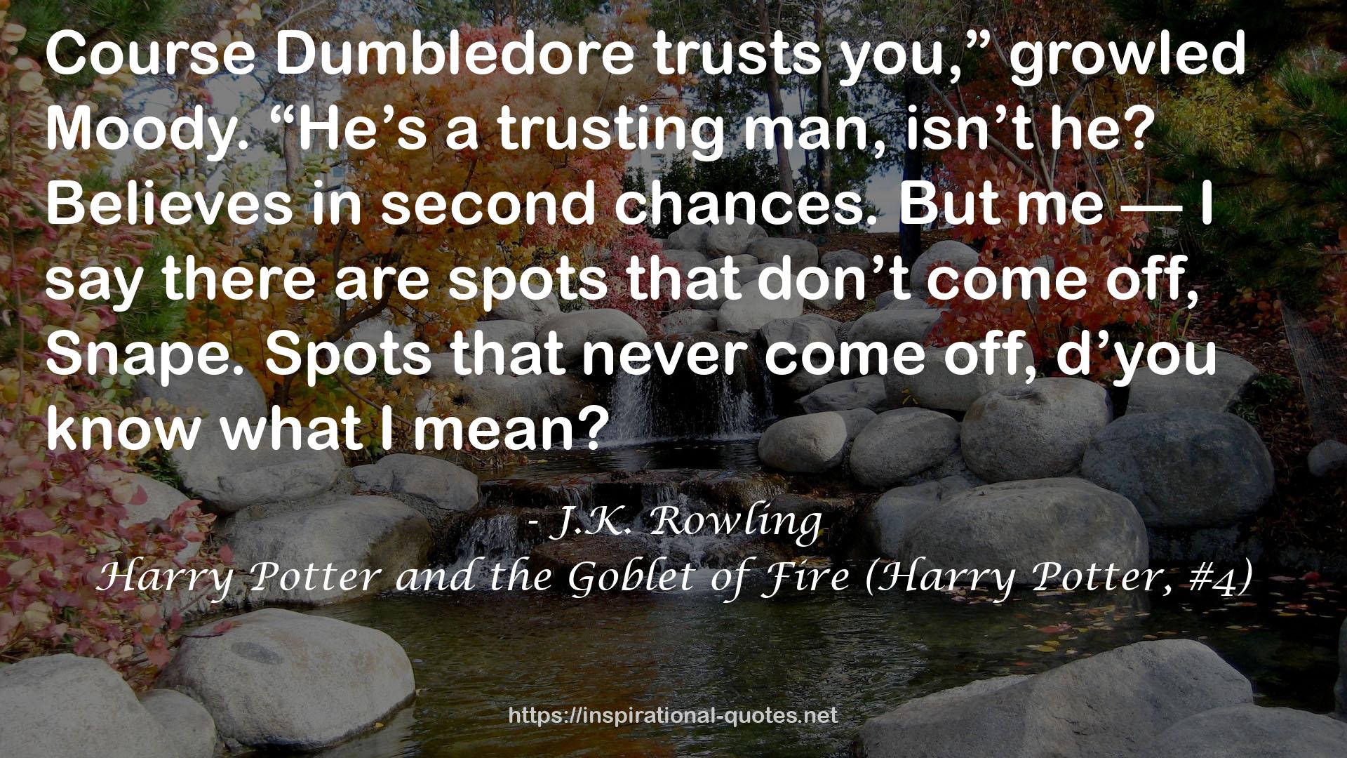 Dumbledore  QUOTES