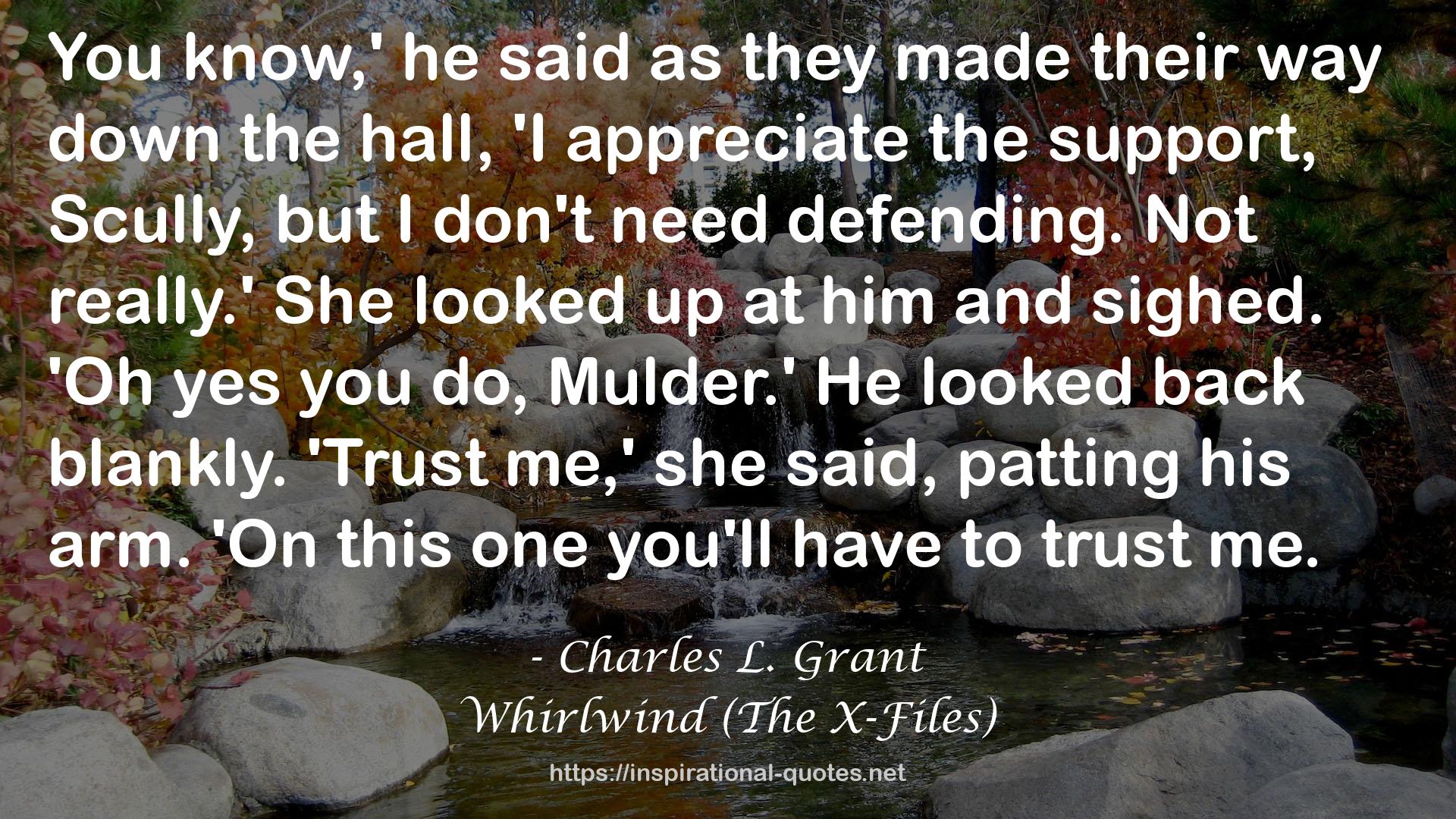 Whirlwind (The X-Files) QUOTES