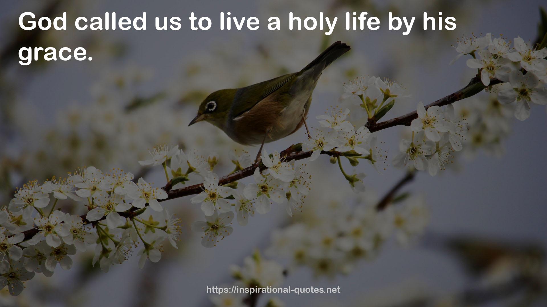 a holy life  QUOTES