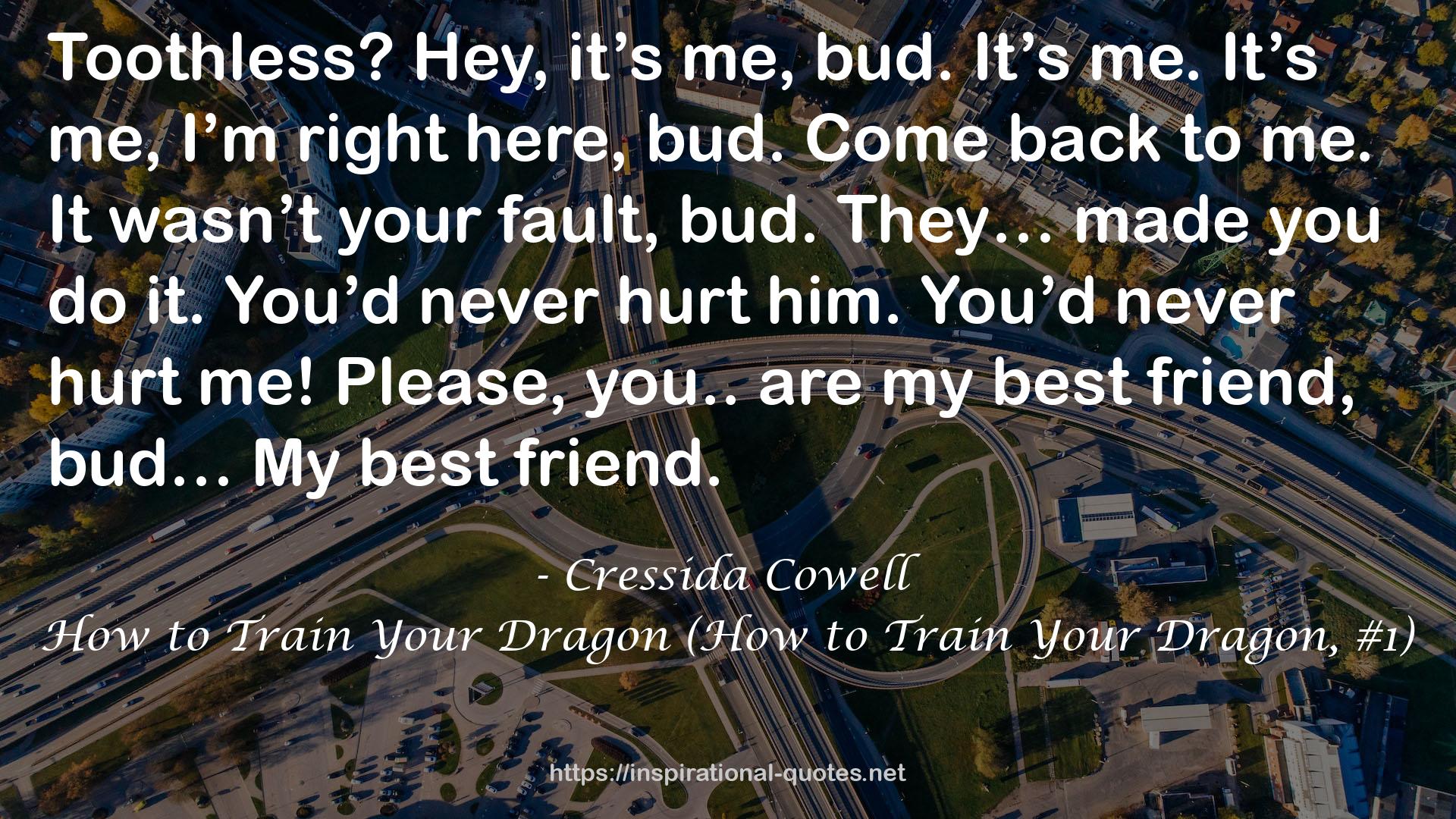 How to Train Your Dragon (How to Train Your Dragon, #1) QUOTES