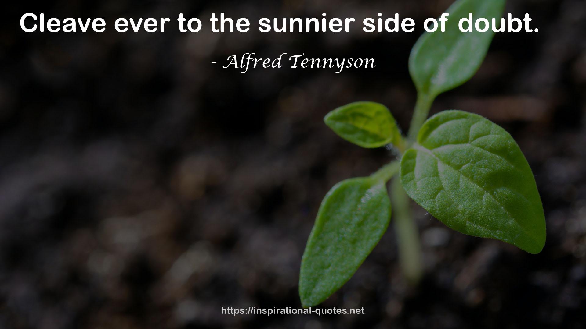 the sunnier side  QUOTES